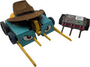 Agent P.