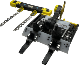 BumbleBlitz