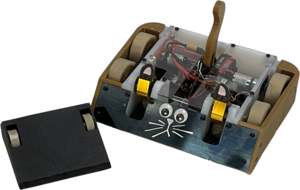 Cat GPT