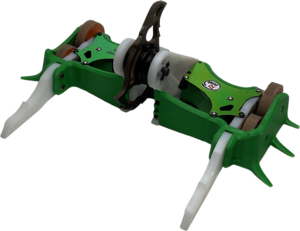 ELYTRA