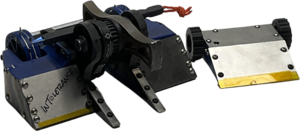 InT⌀lerance