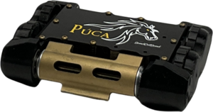 Púca