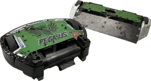 Pegasus