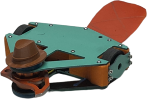 Perry The Platybot