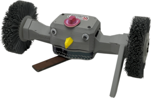 Pigeon