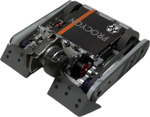 Procyon
