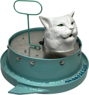 Salad Cat
