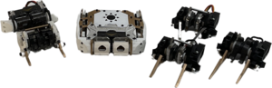Stoneforge