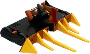 Toucan