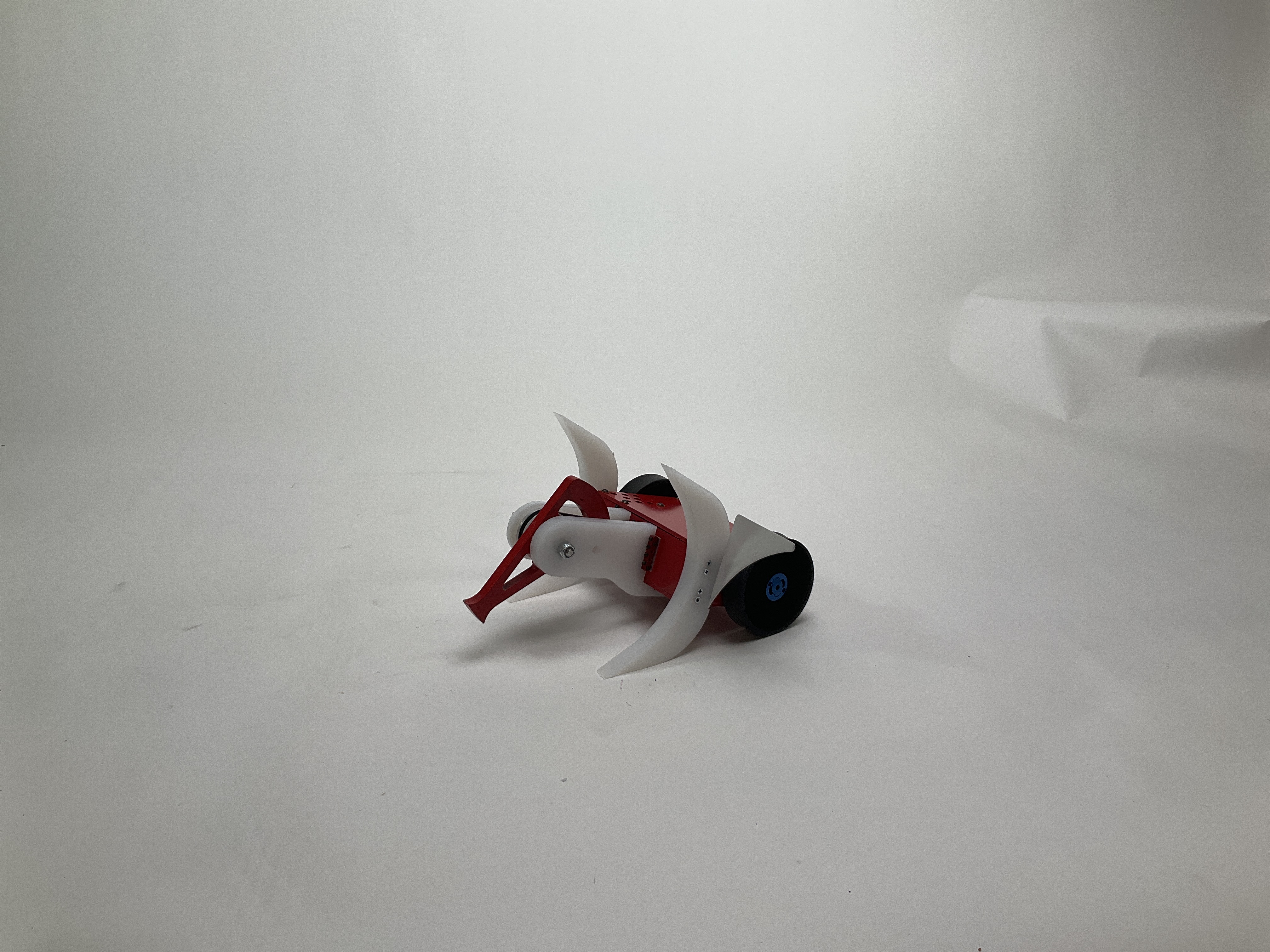 Backlash Wave — entry photo, Sep 17, 2022