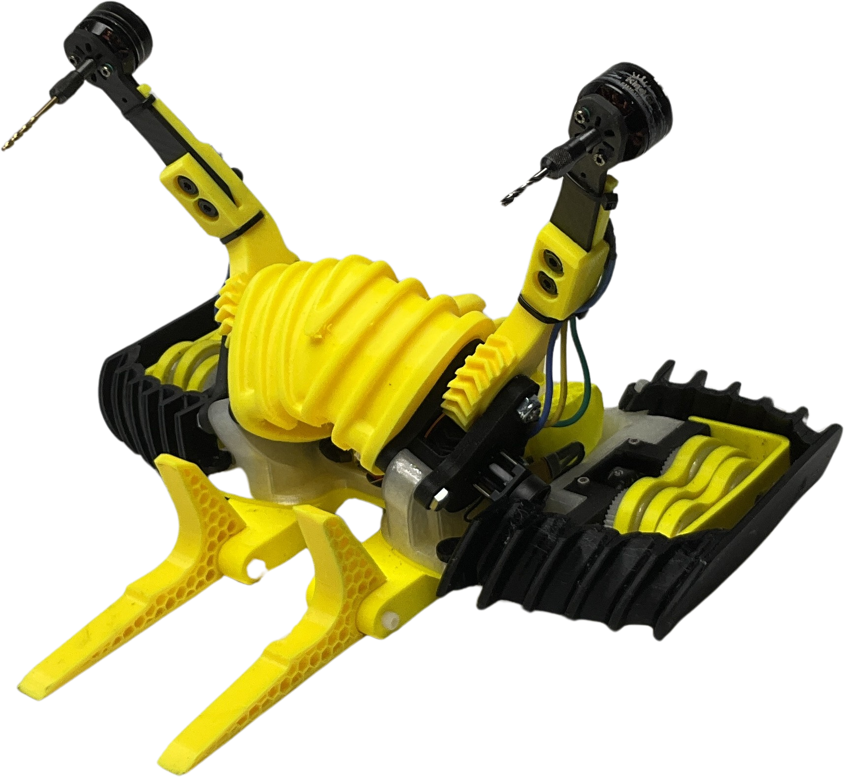 Bee-Drill