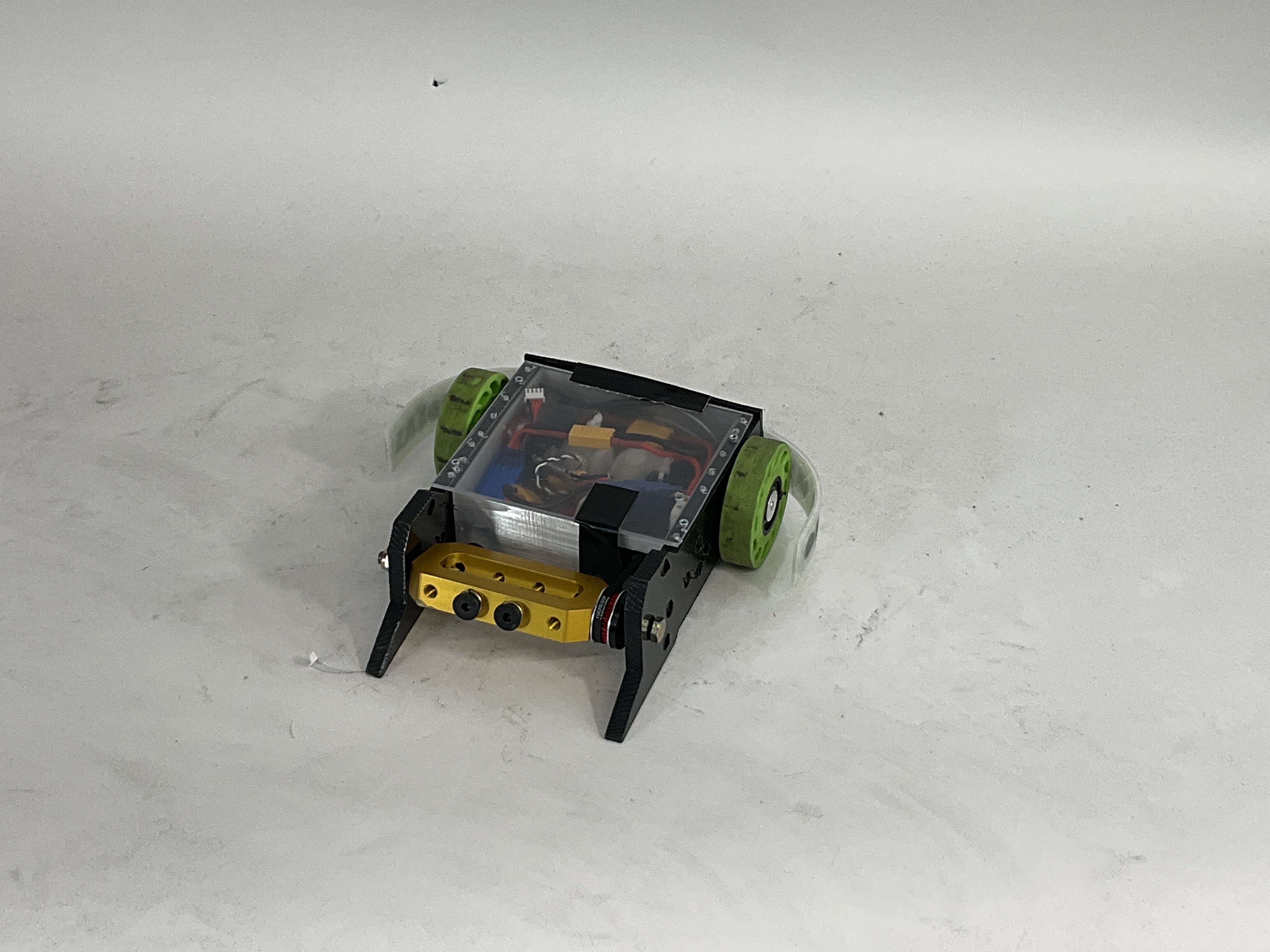Buzzzz-Kill — entry photo, May 5, 2023
