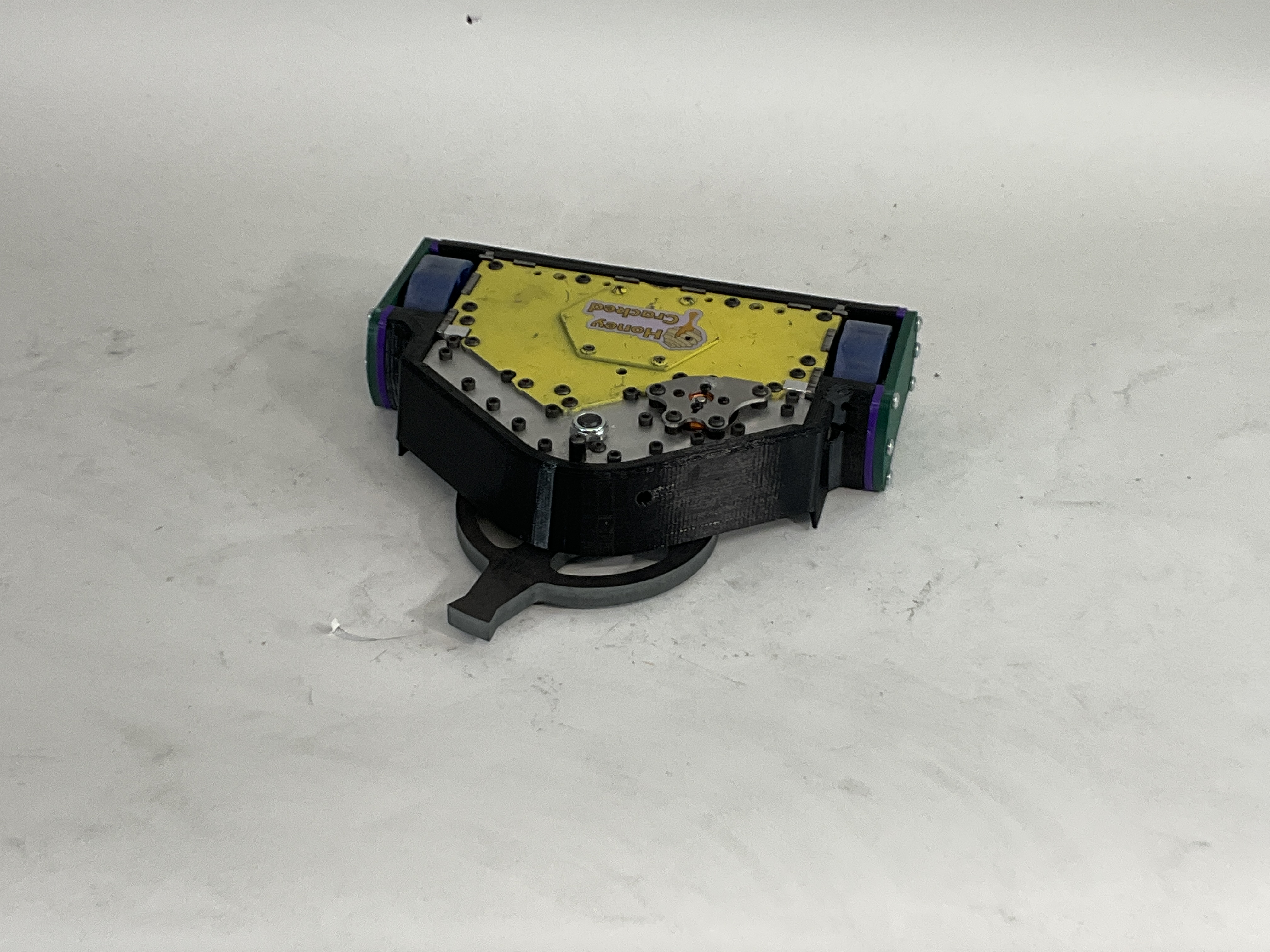 Buzzzz-Kill — entry photo, May 5, 2023