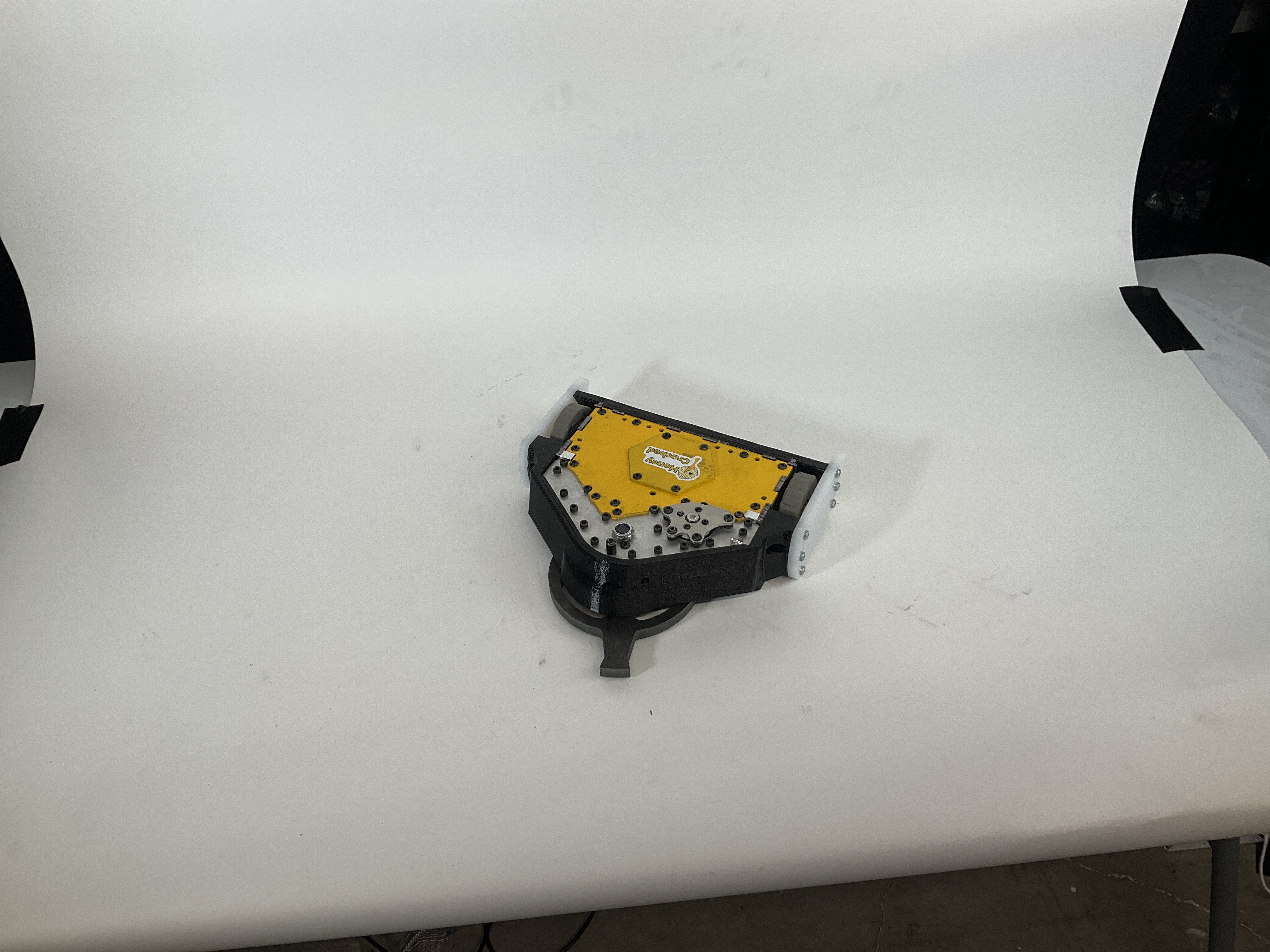 Buzzzz-Kill — entry photo, Jun 23, 2023