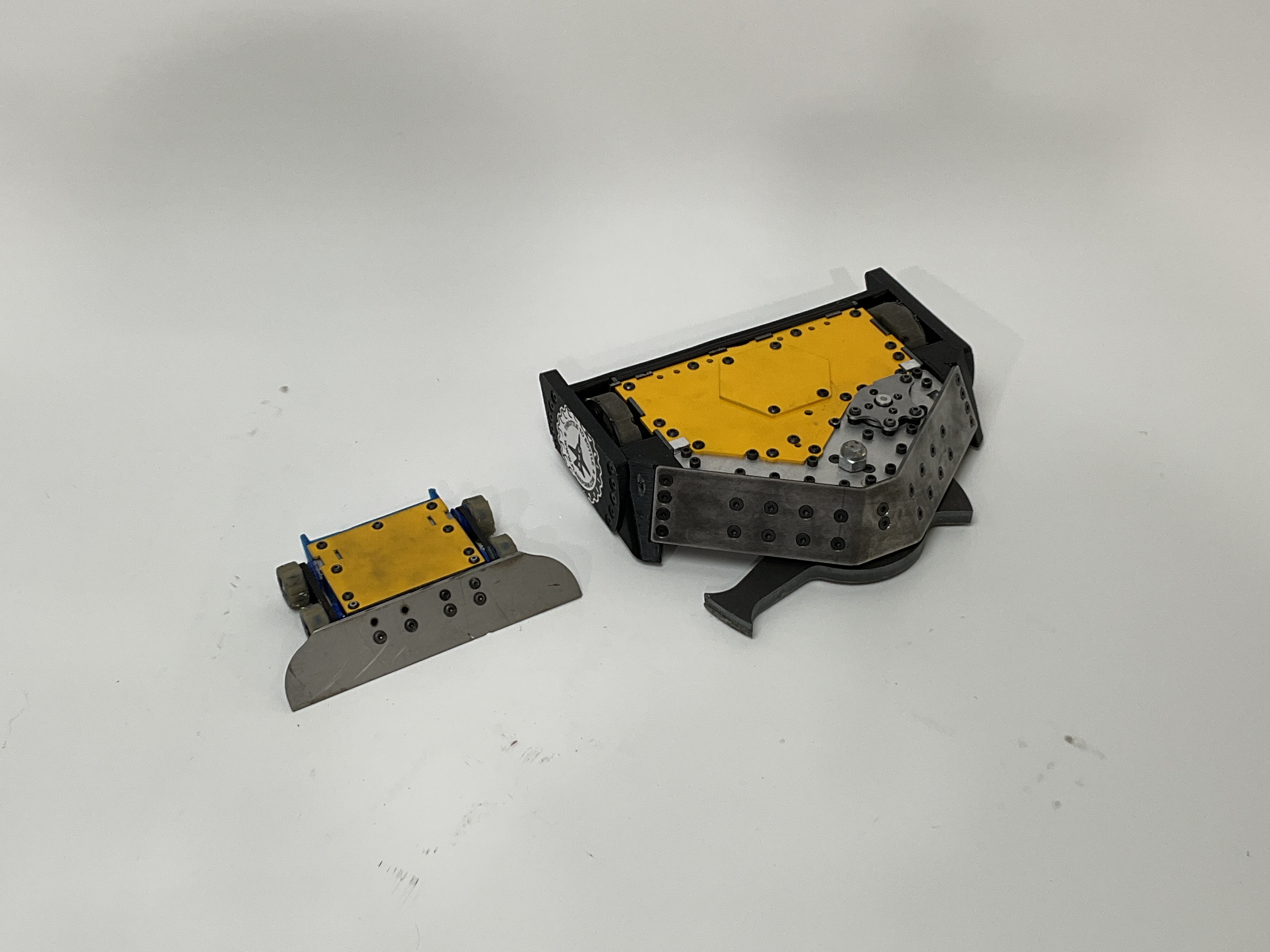 Buzzzz-Kill — entry photo, Aug 11, 2023