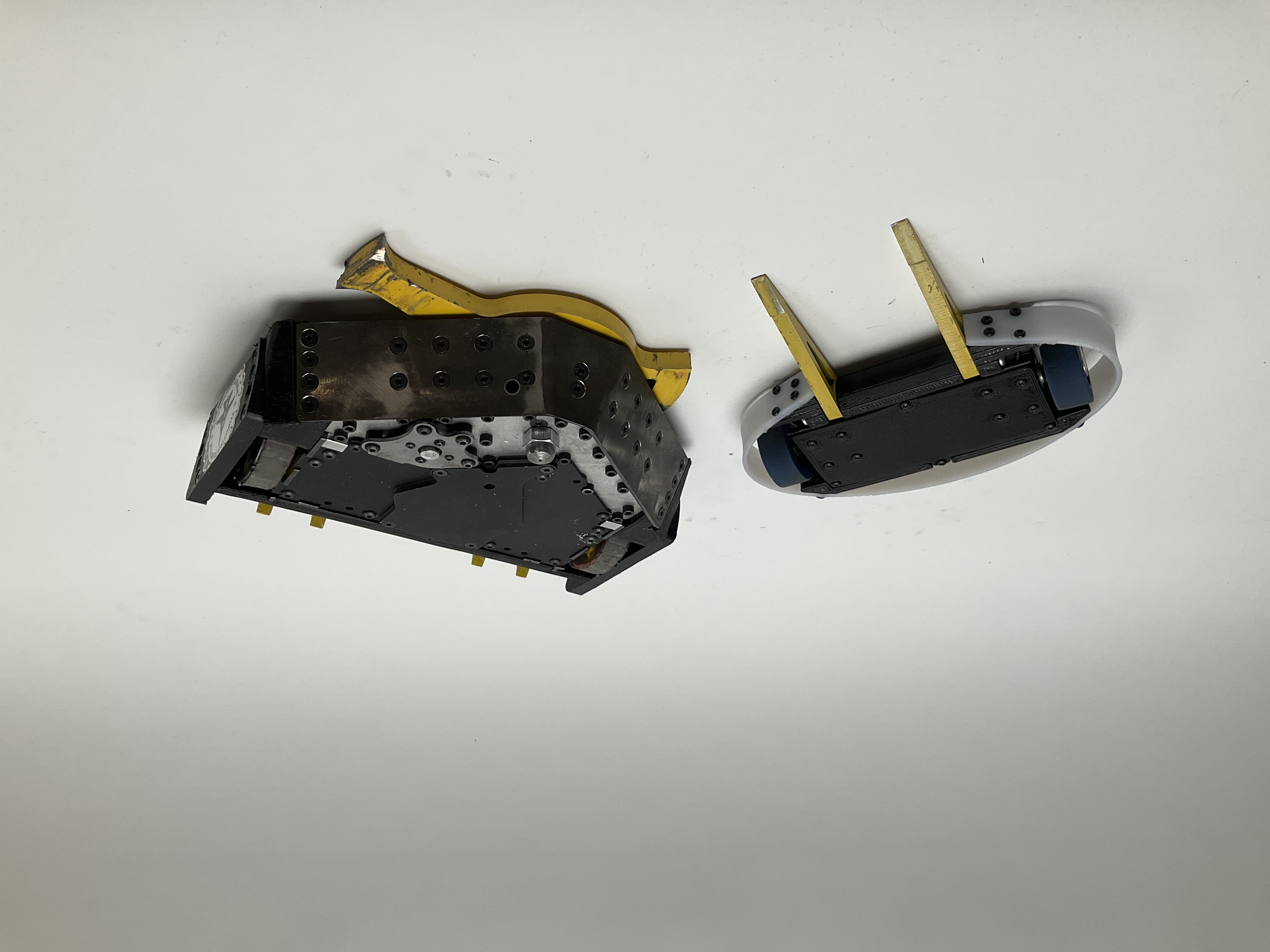 Buzzzz-Kill — entry photo, Sep 29, 2023