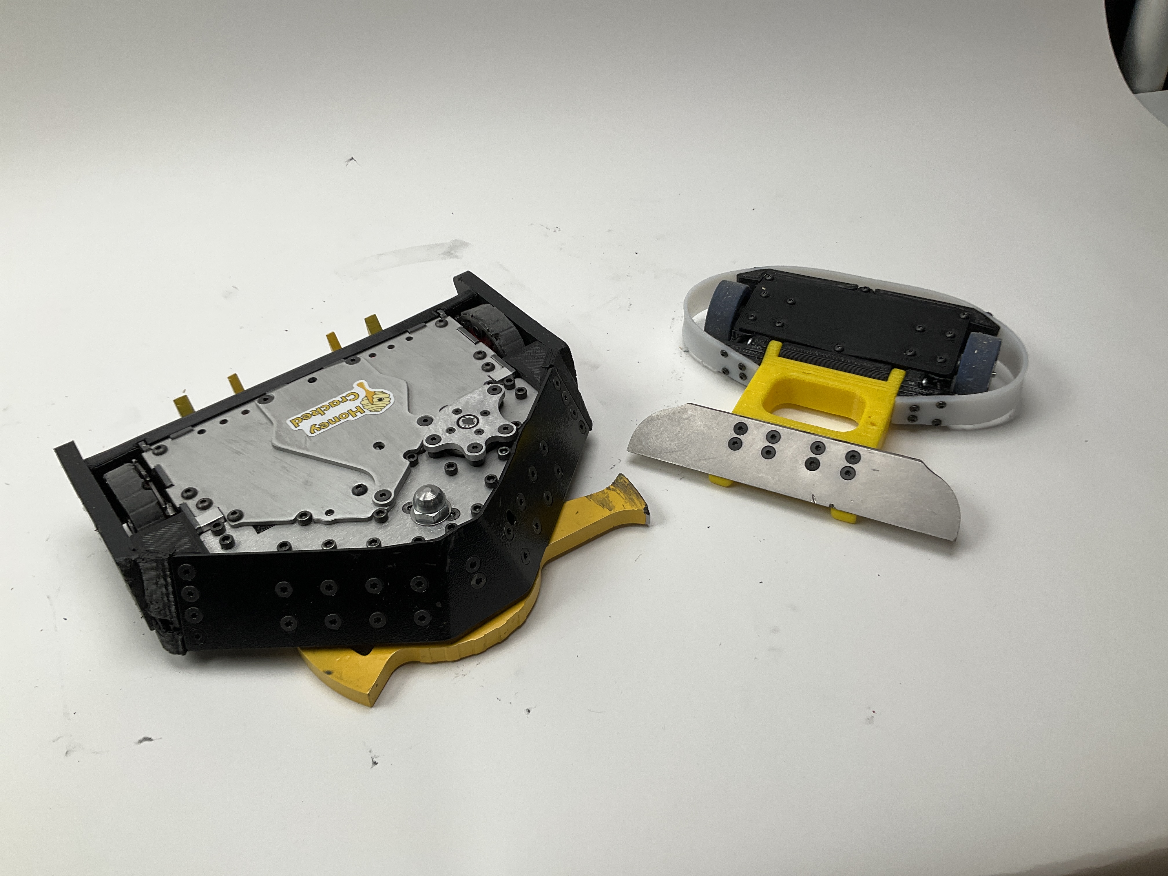 Buzzzz-Kill — entry photo, Nov 10, 2023