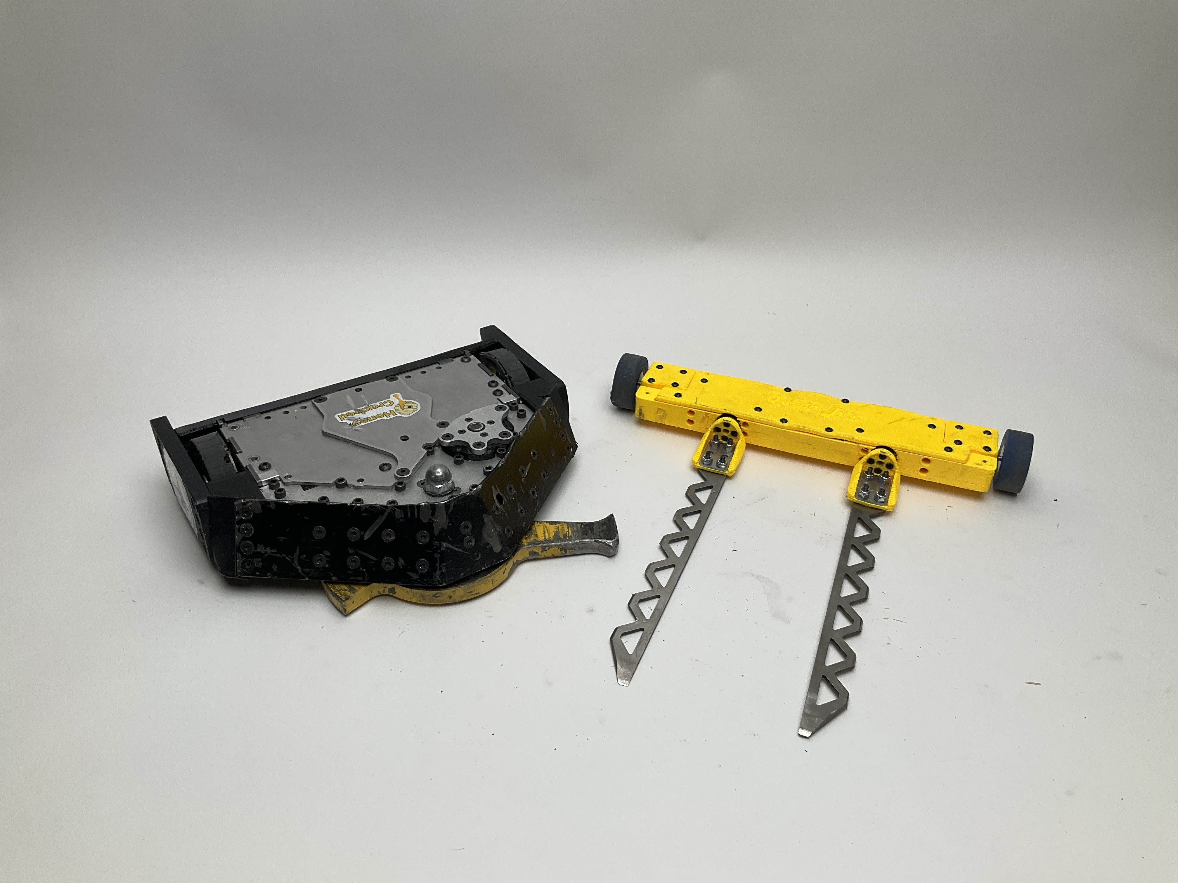 Buzzzz-Kill — entry photo, Dec 5, 2023