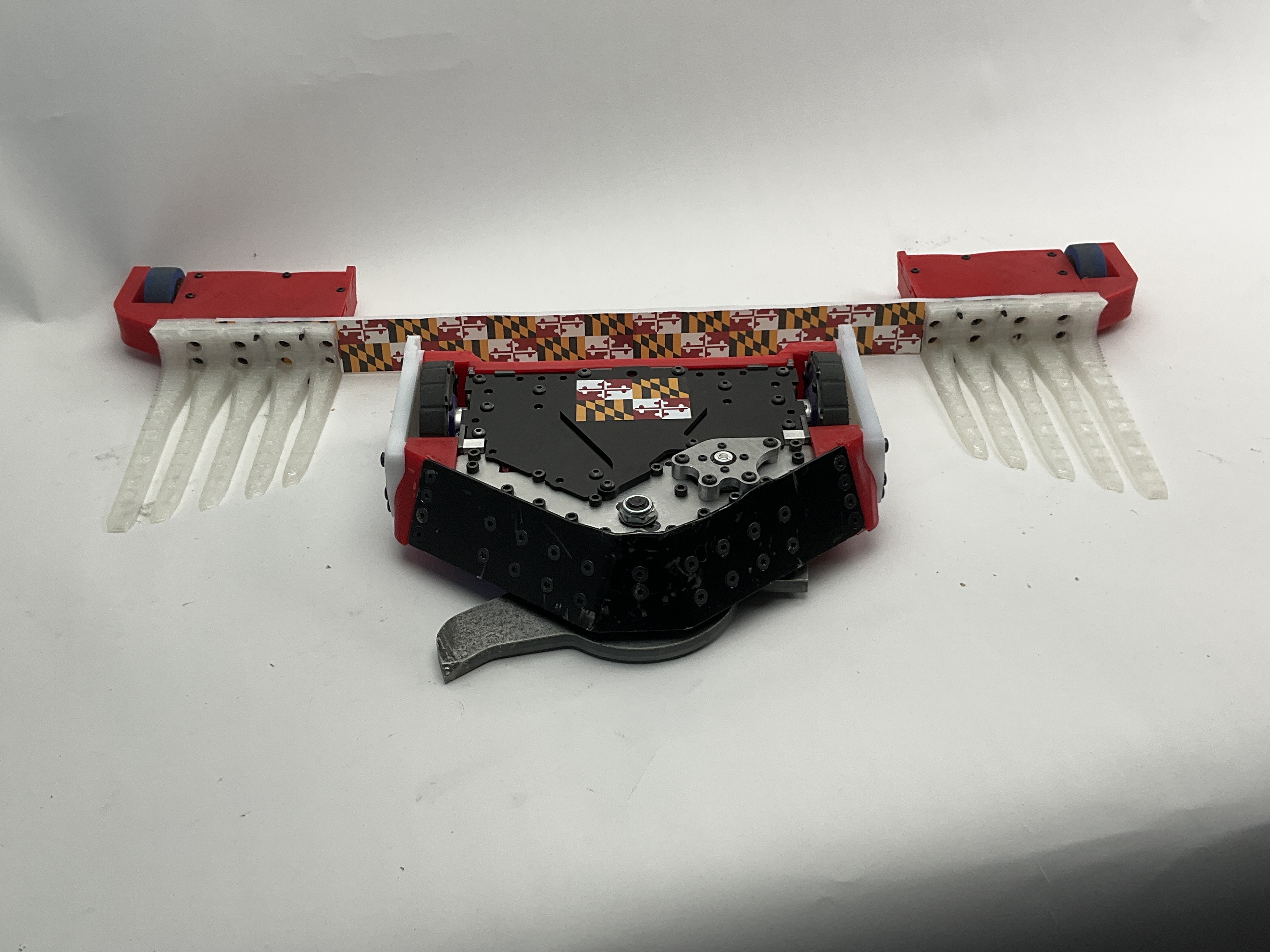 Buzzzz-Kill — entry photo, Sep 14, 2024