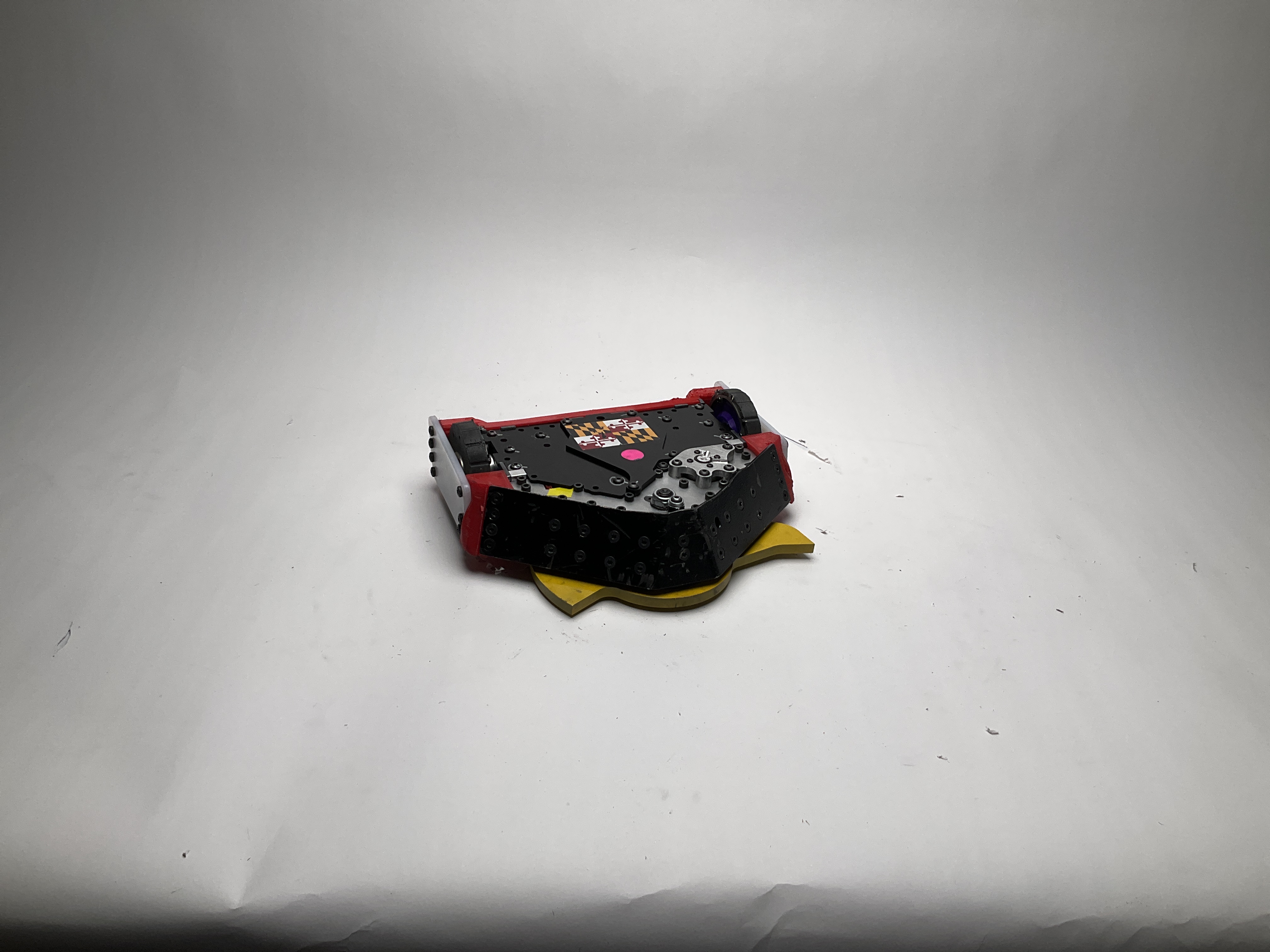 Buzzzz-Kill — entry photo, Dec 6, 2024
