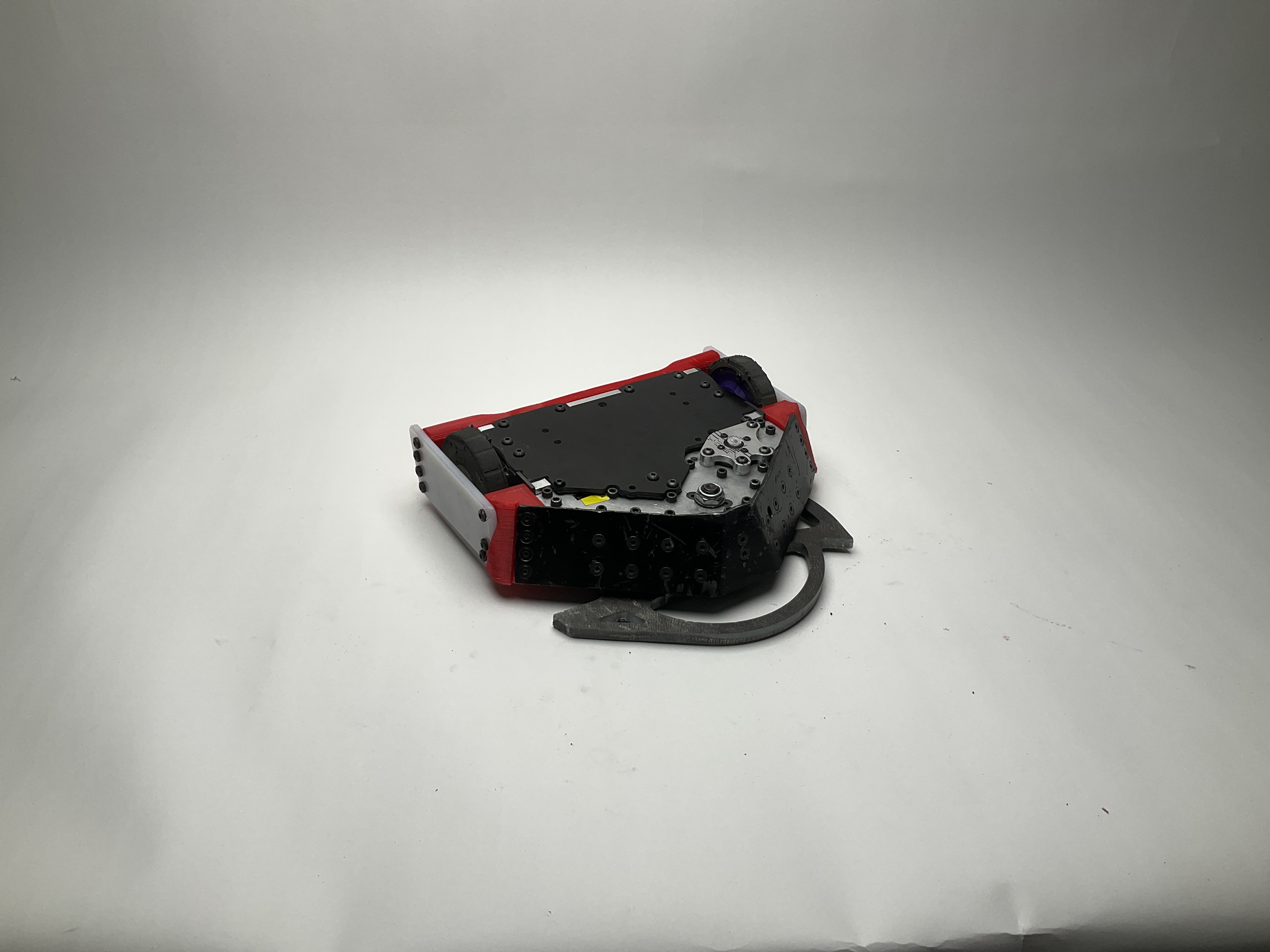 Buzzzz-Kill — entry photo, Jan 31, 2025