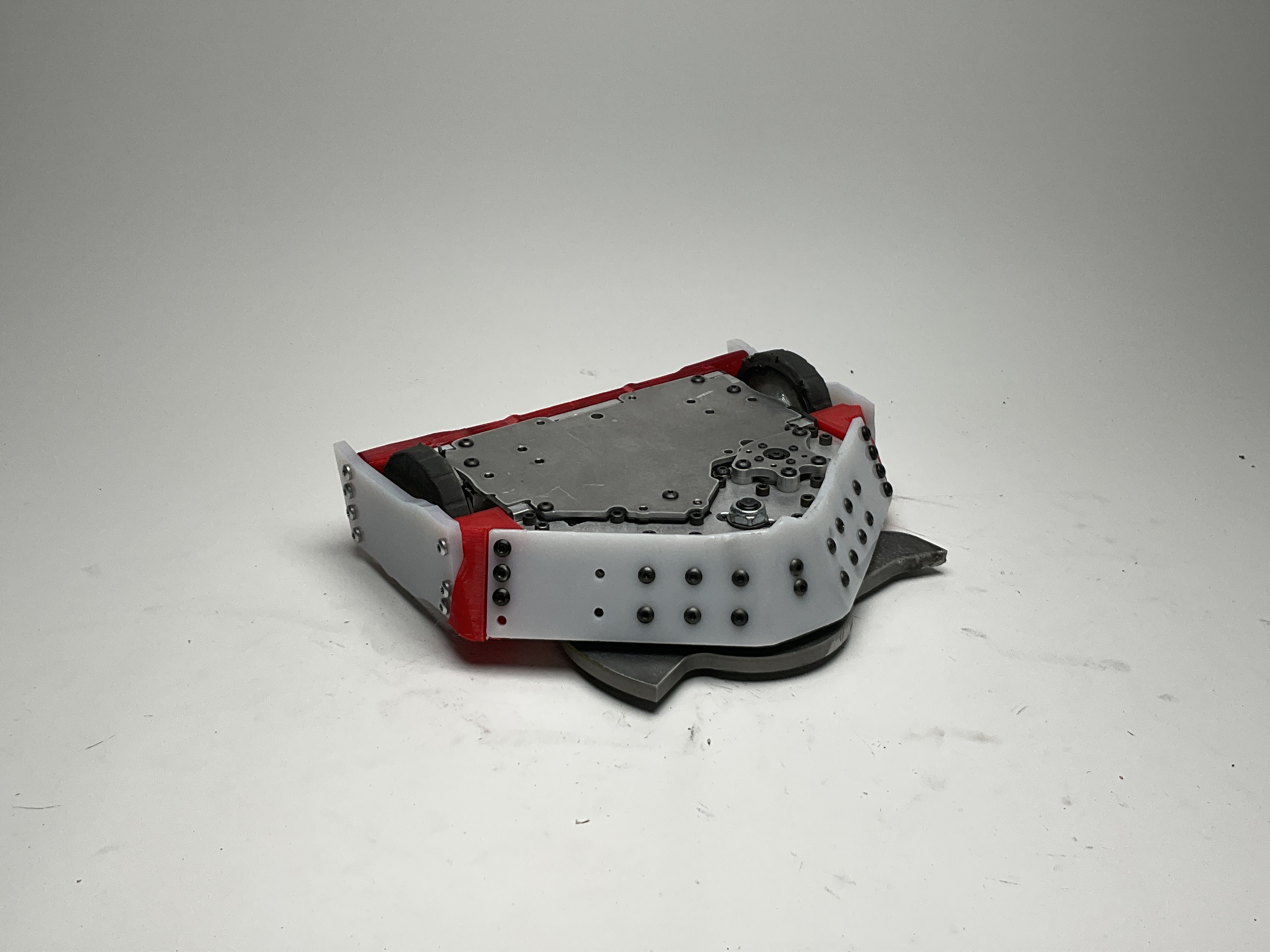 Buzzzz-Kill — entry photo, May 2, 2025