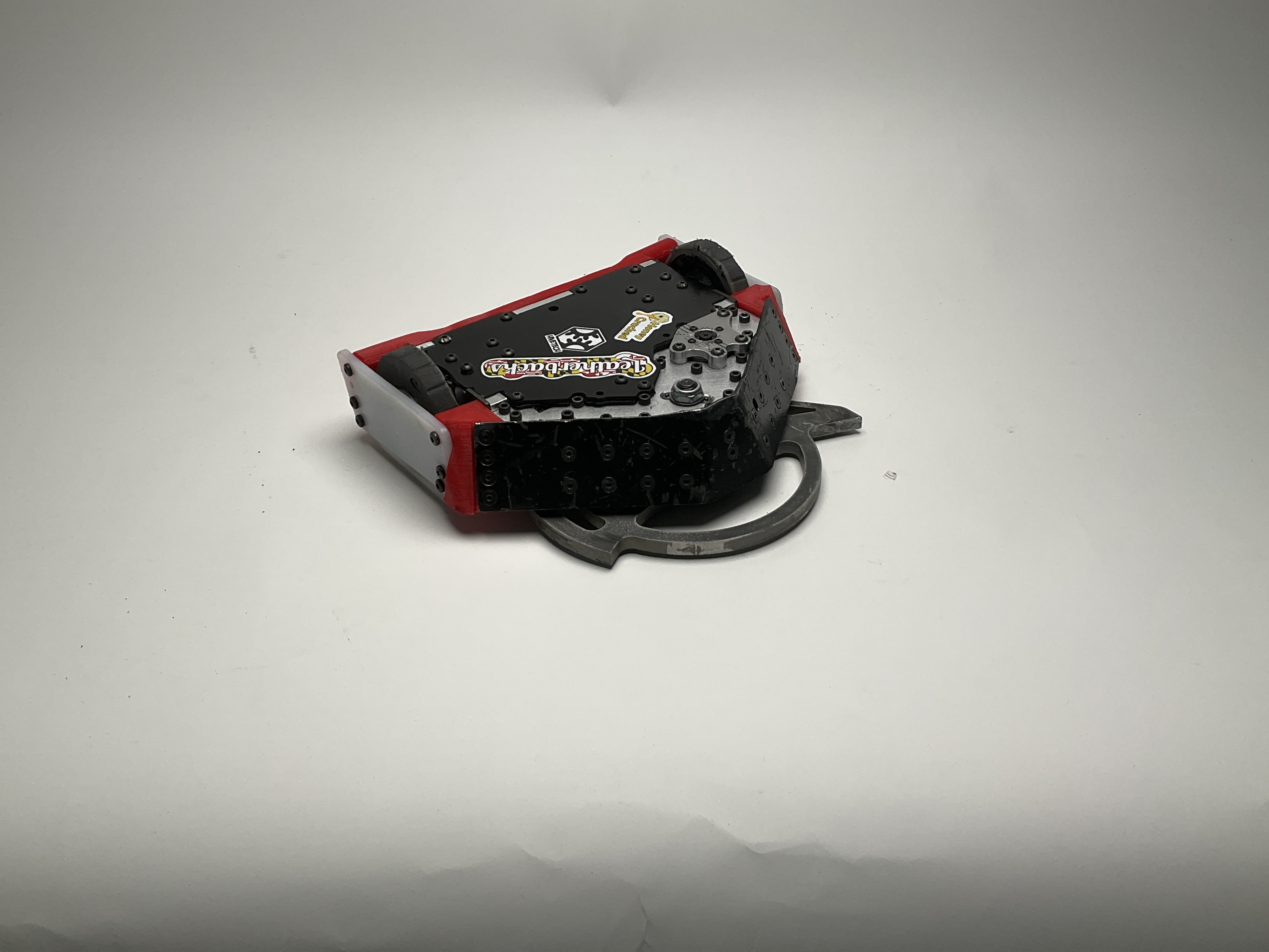 Buzzzz-Kill — entry photo, Jun 6, 2025