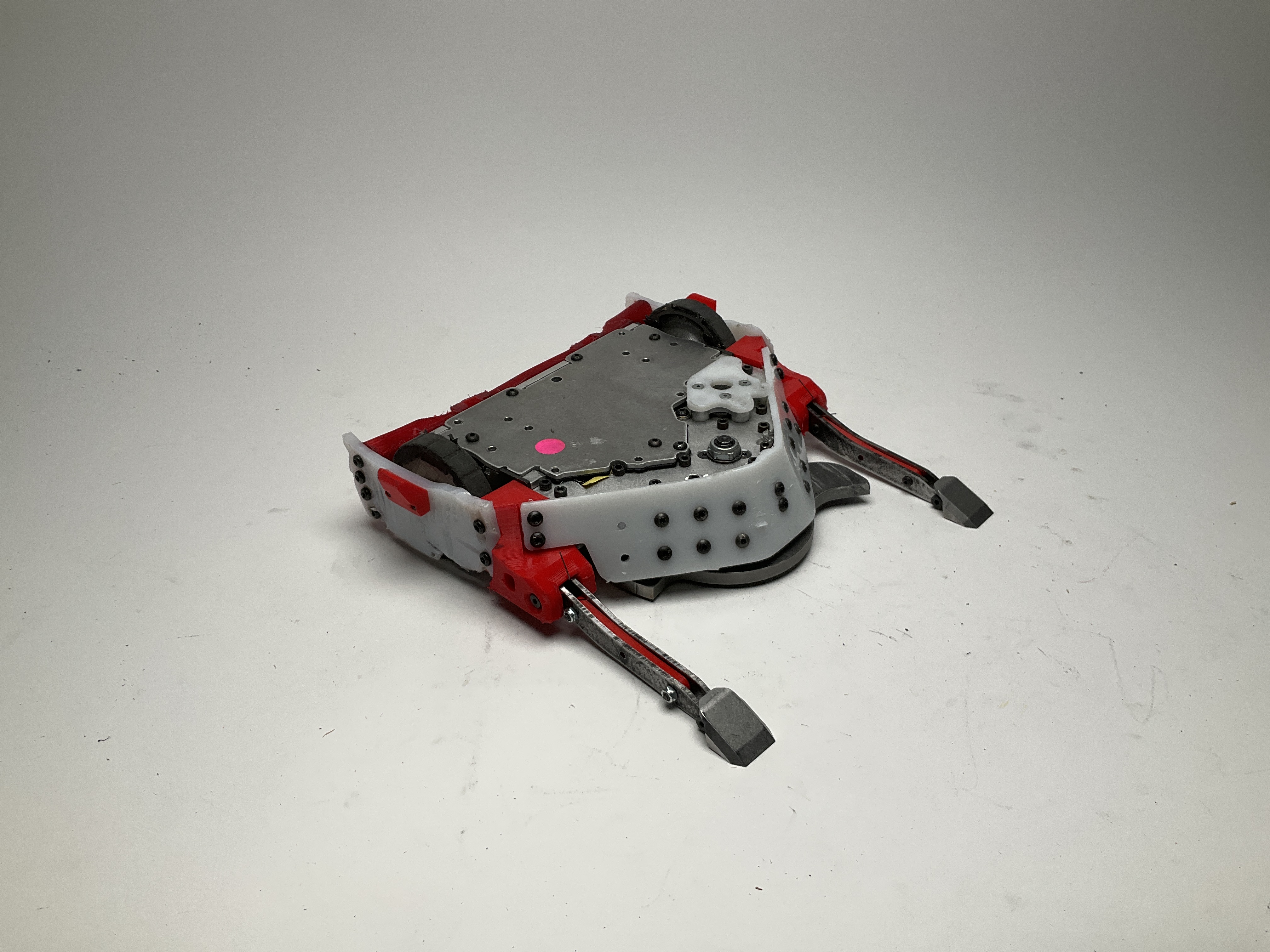 Buzzzz-Kill — entry photo, Oct 31, 2025