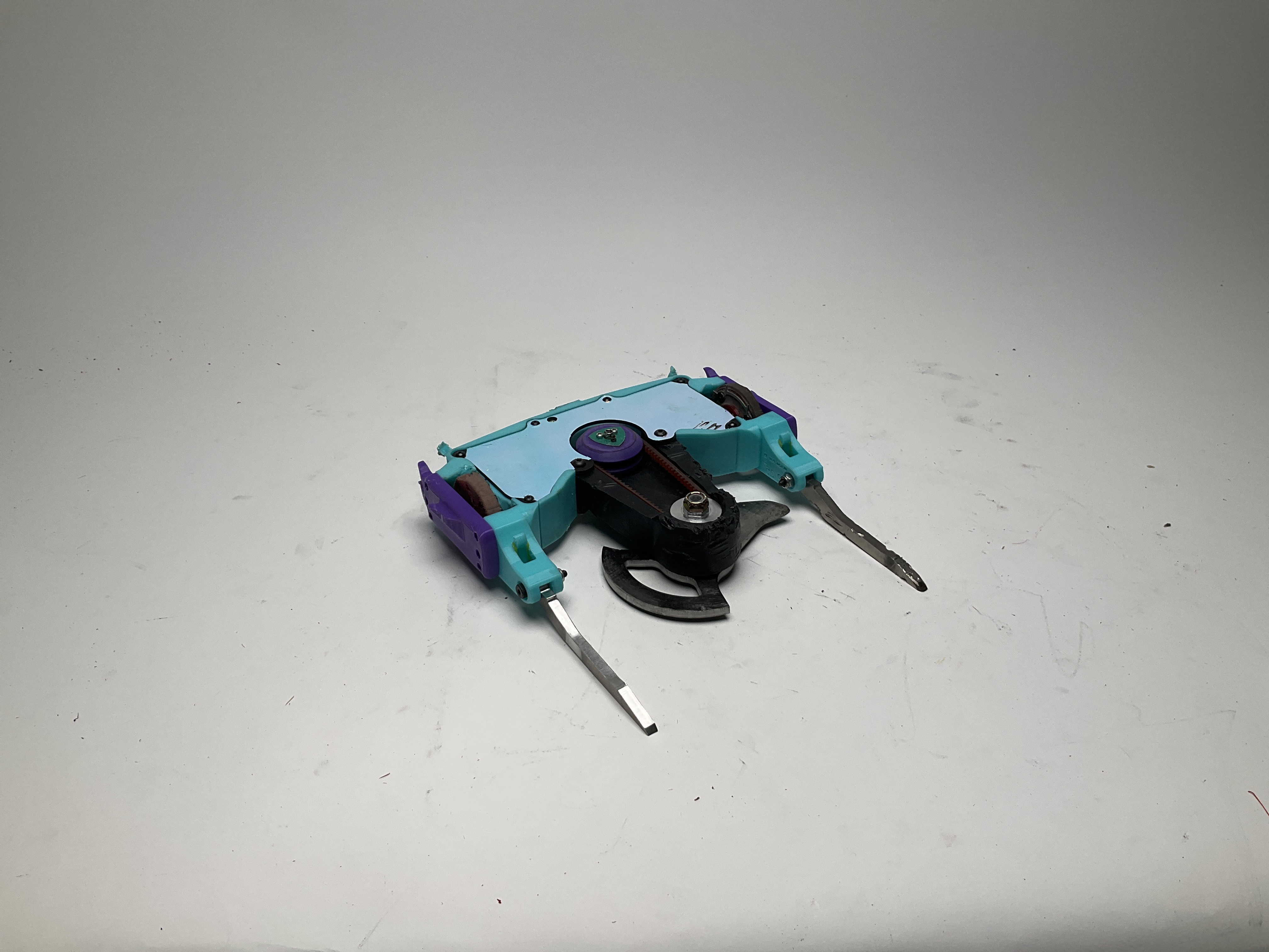 Buzzzz-Kill — entry photo, Oct 31, 2025