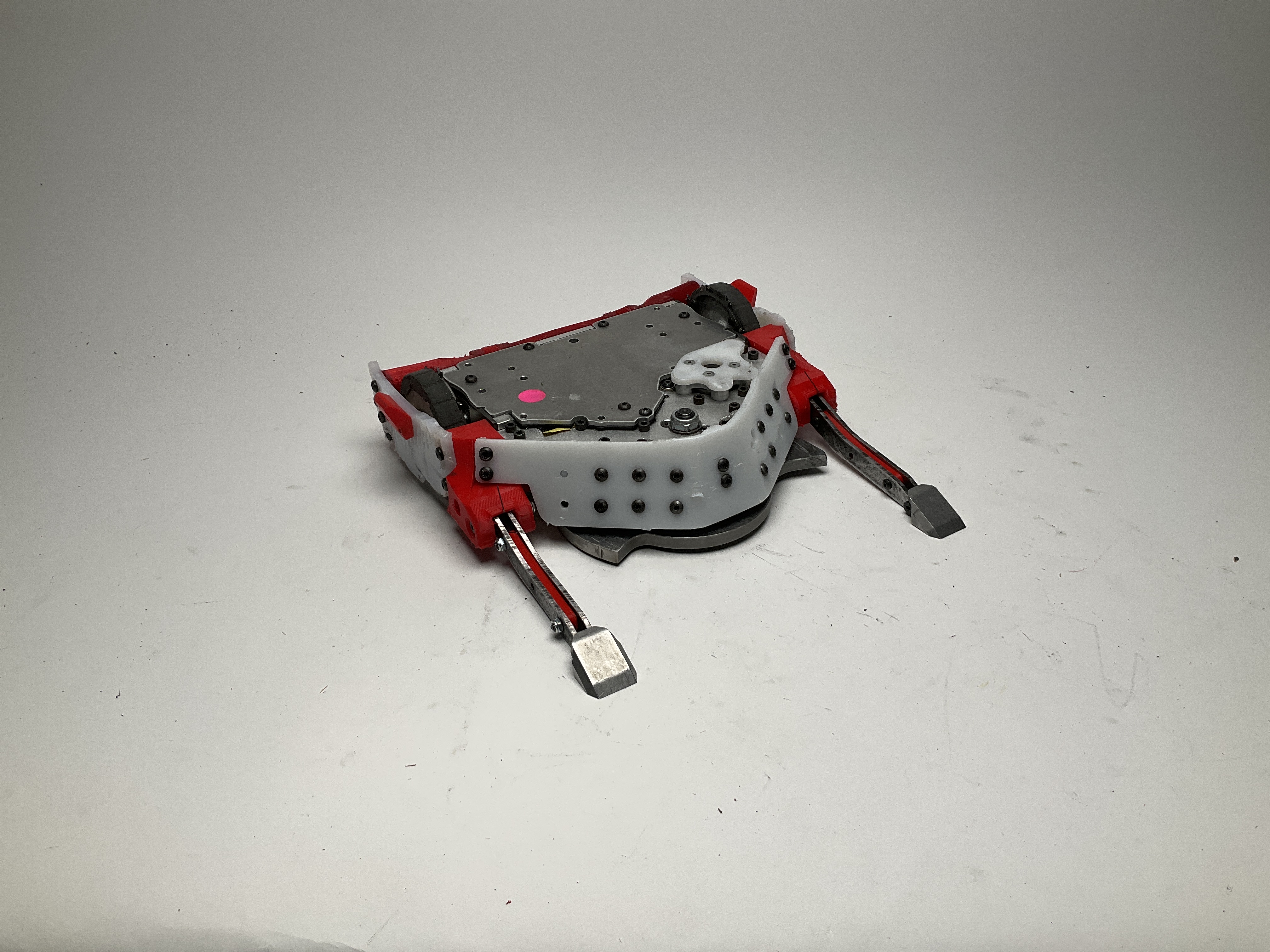 Buzzzz-Kill — entry photo, Oct 31, 2025