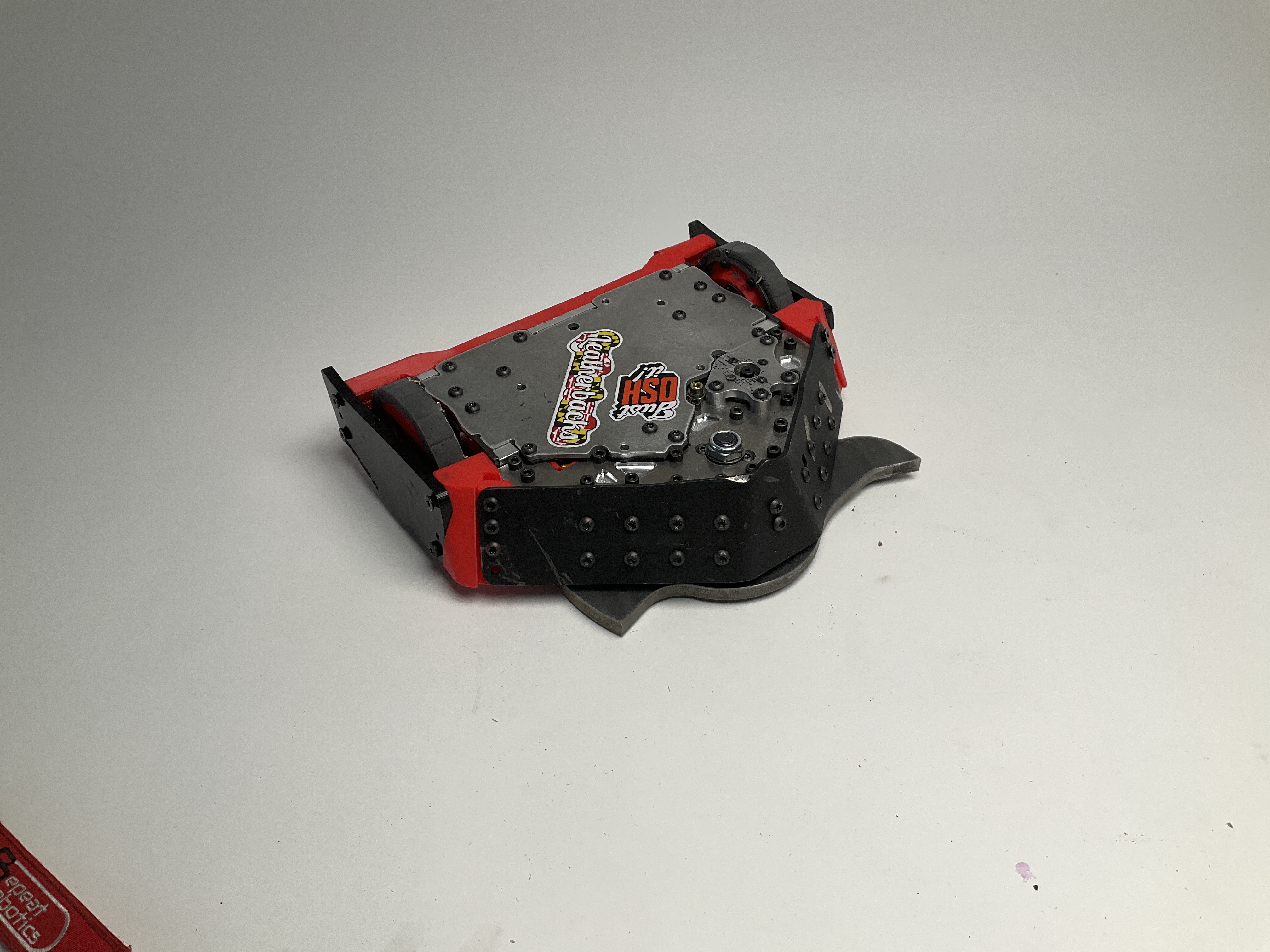 Buzzzz-Kill — entry photo, Jun 5, 2026