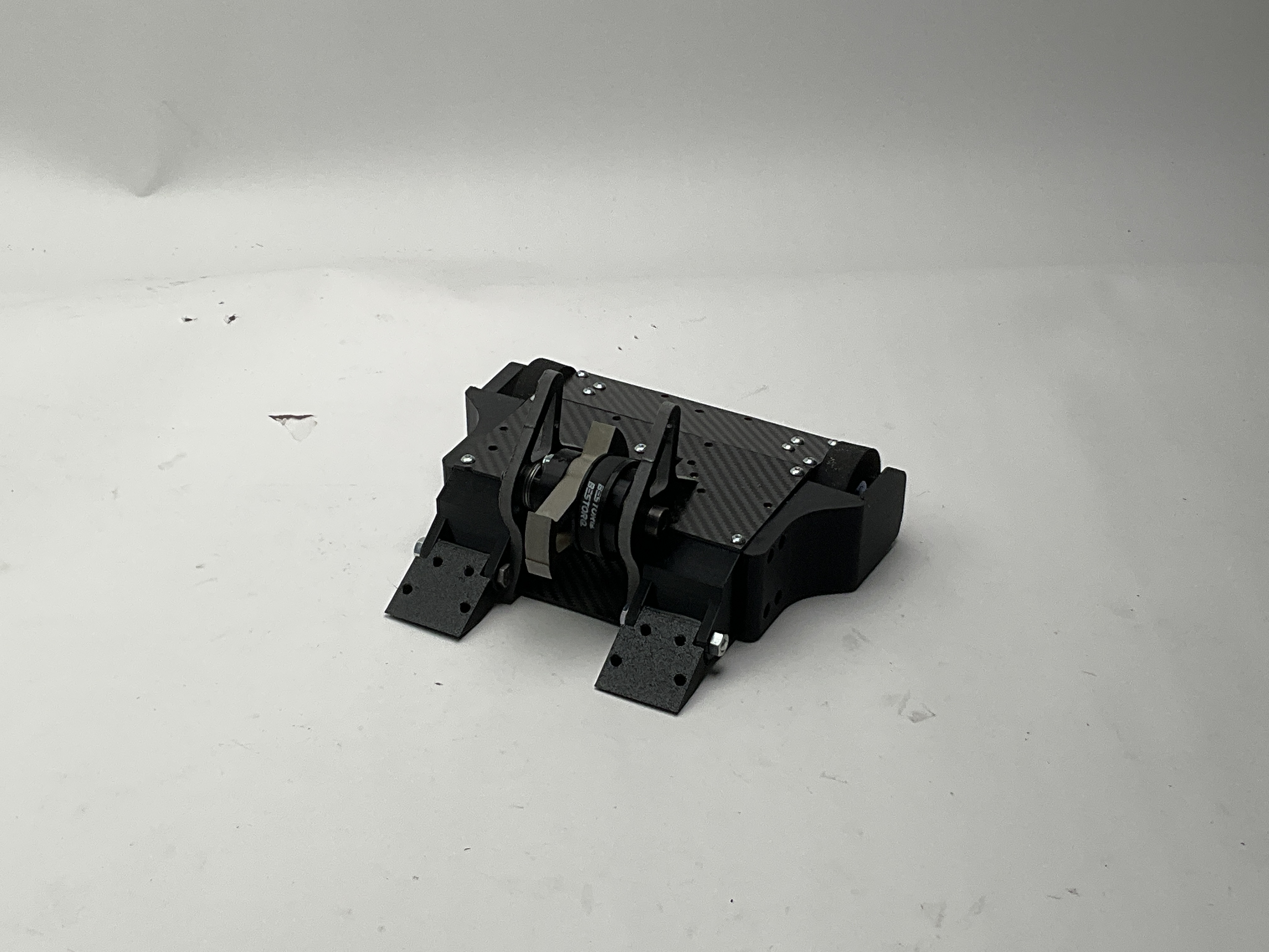 Ceratops — entry photo, Oct 26, 2024