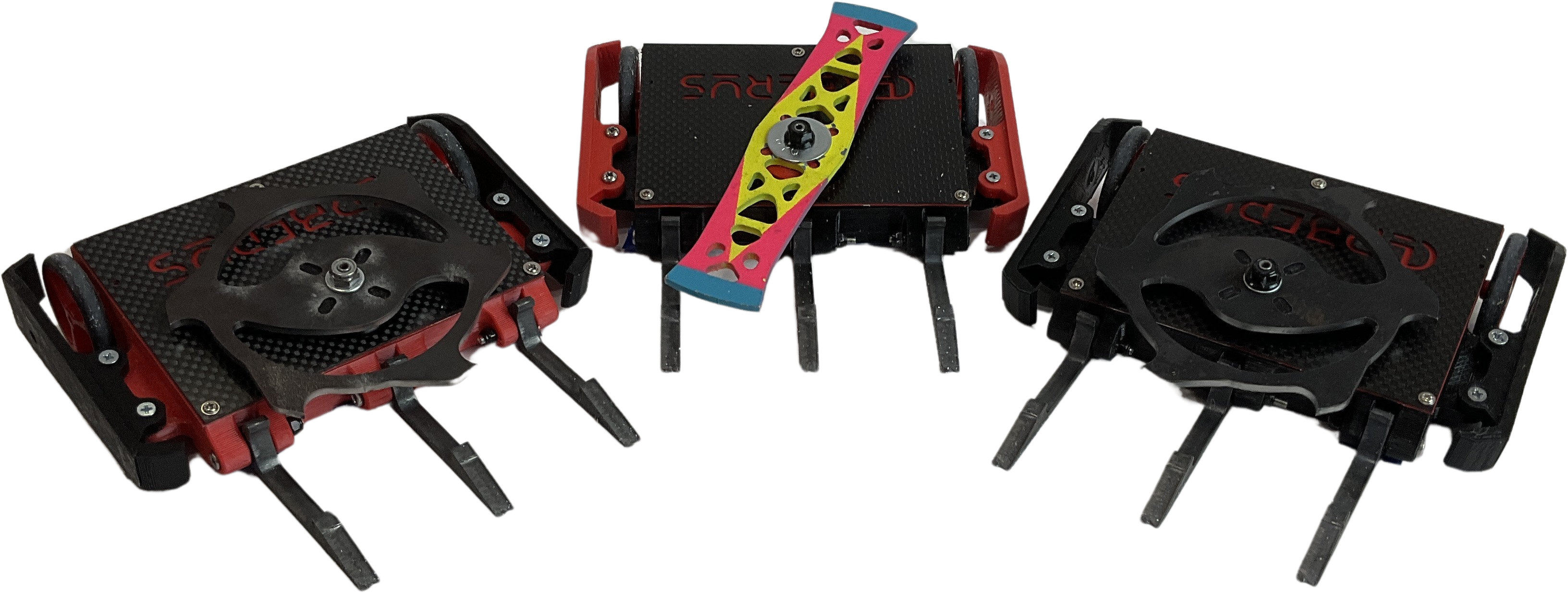 Cerberus