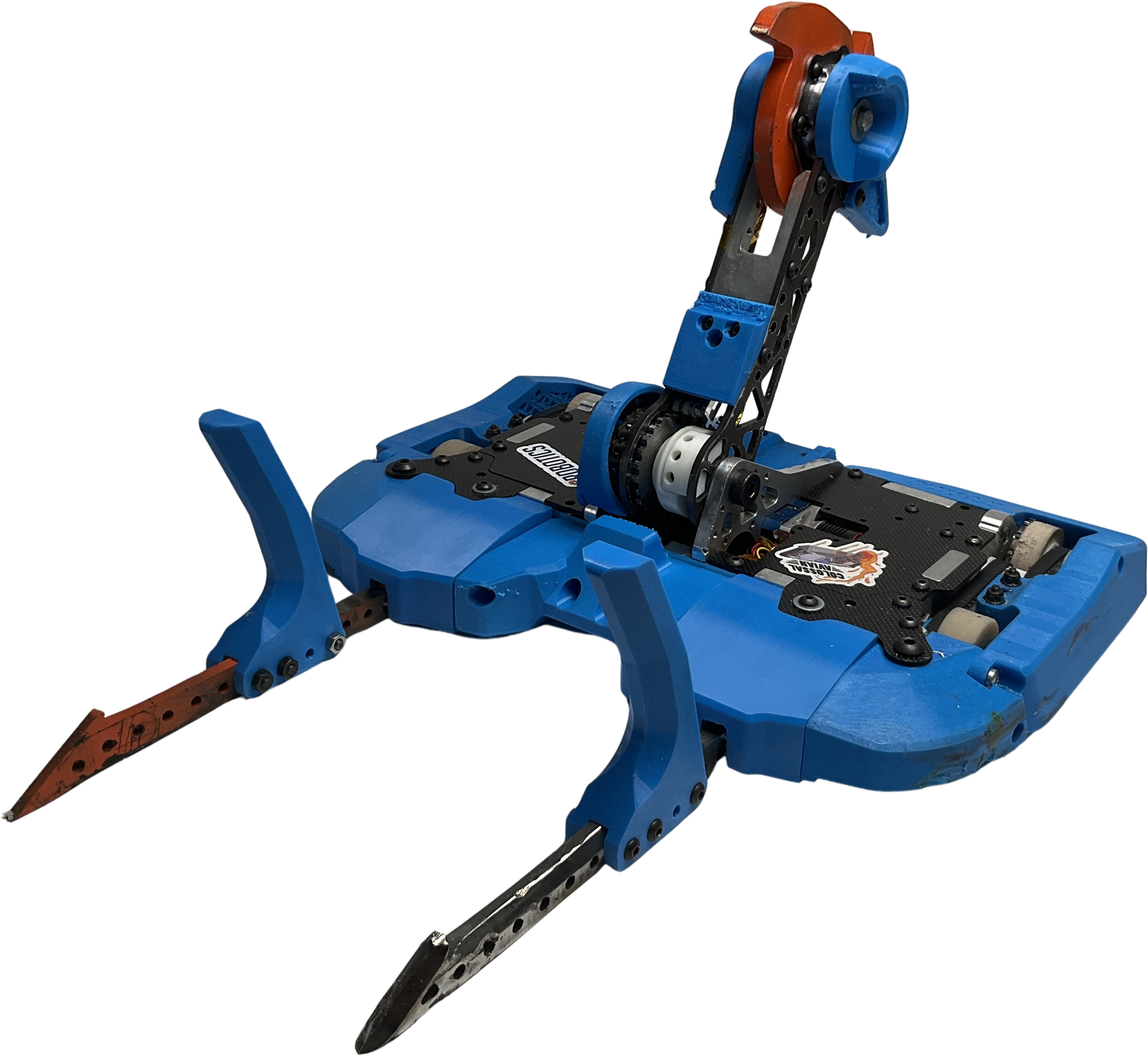 Colossal Avian