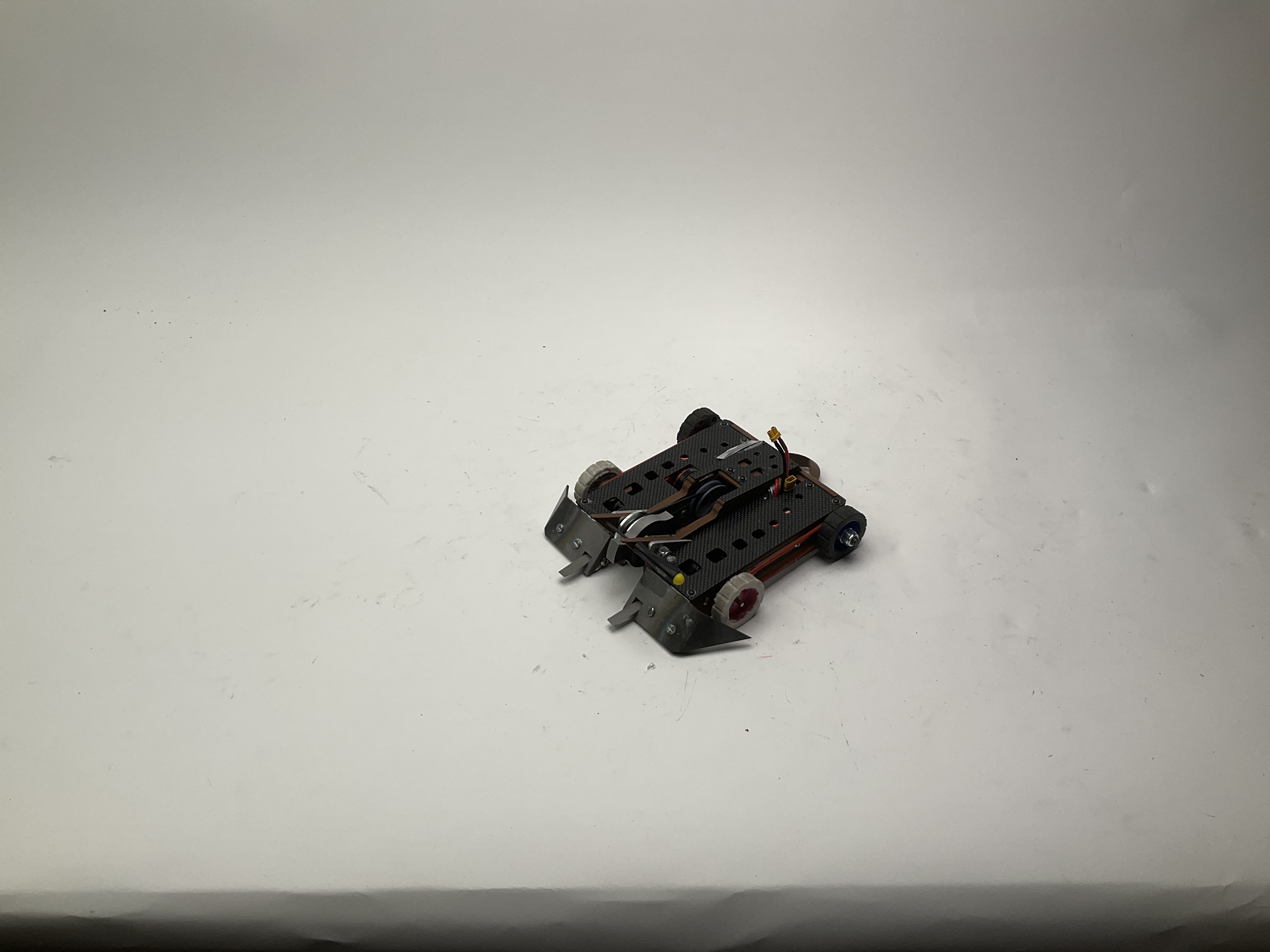 CROGodile — entry photo, Apr 20, 2024