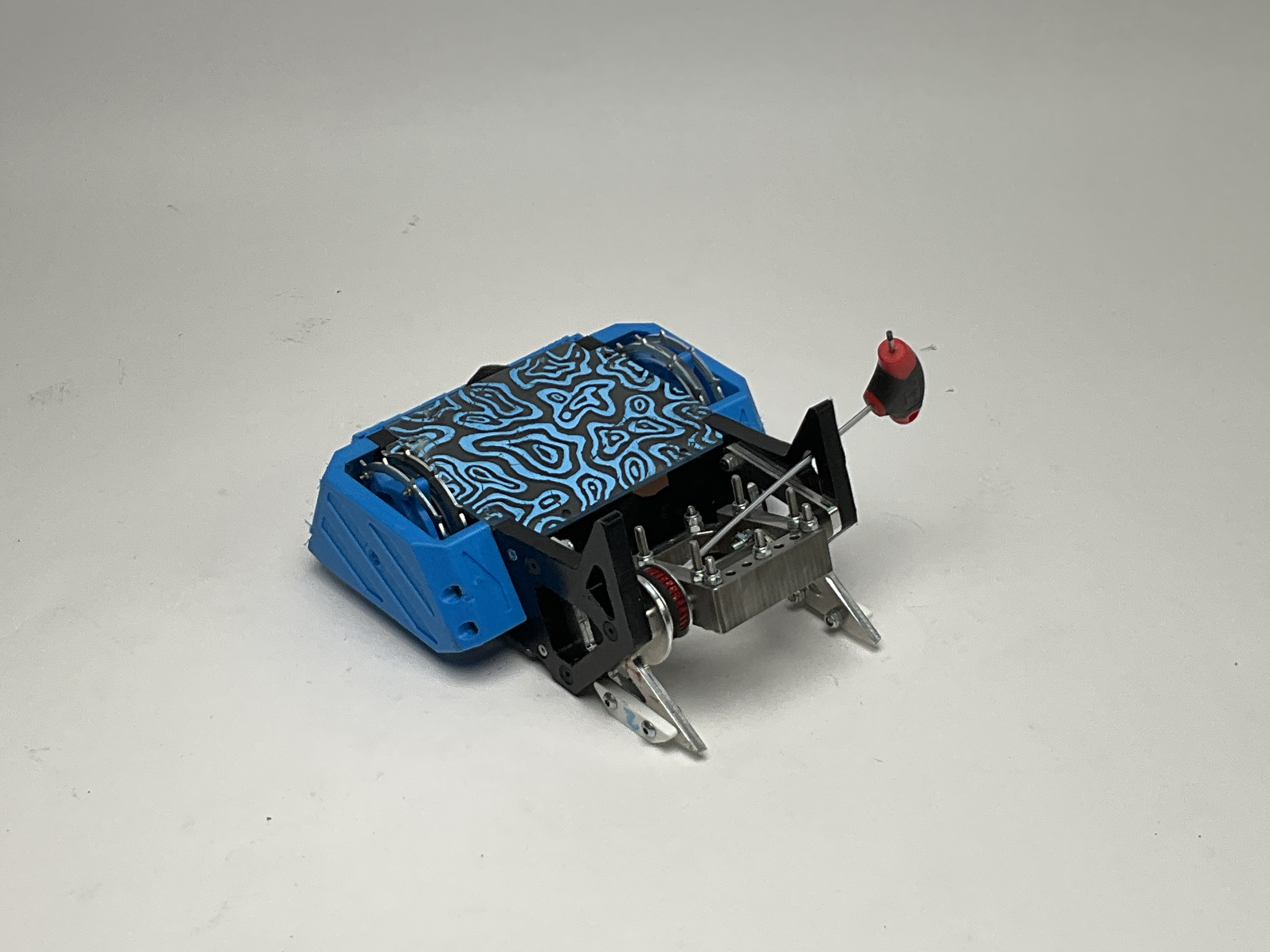 Die No Soar — entry photo, Jun 22, 2024
