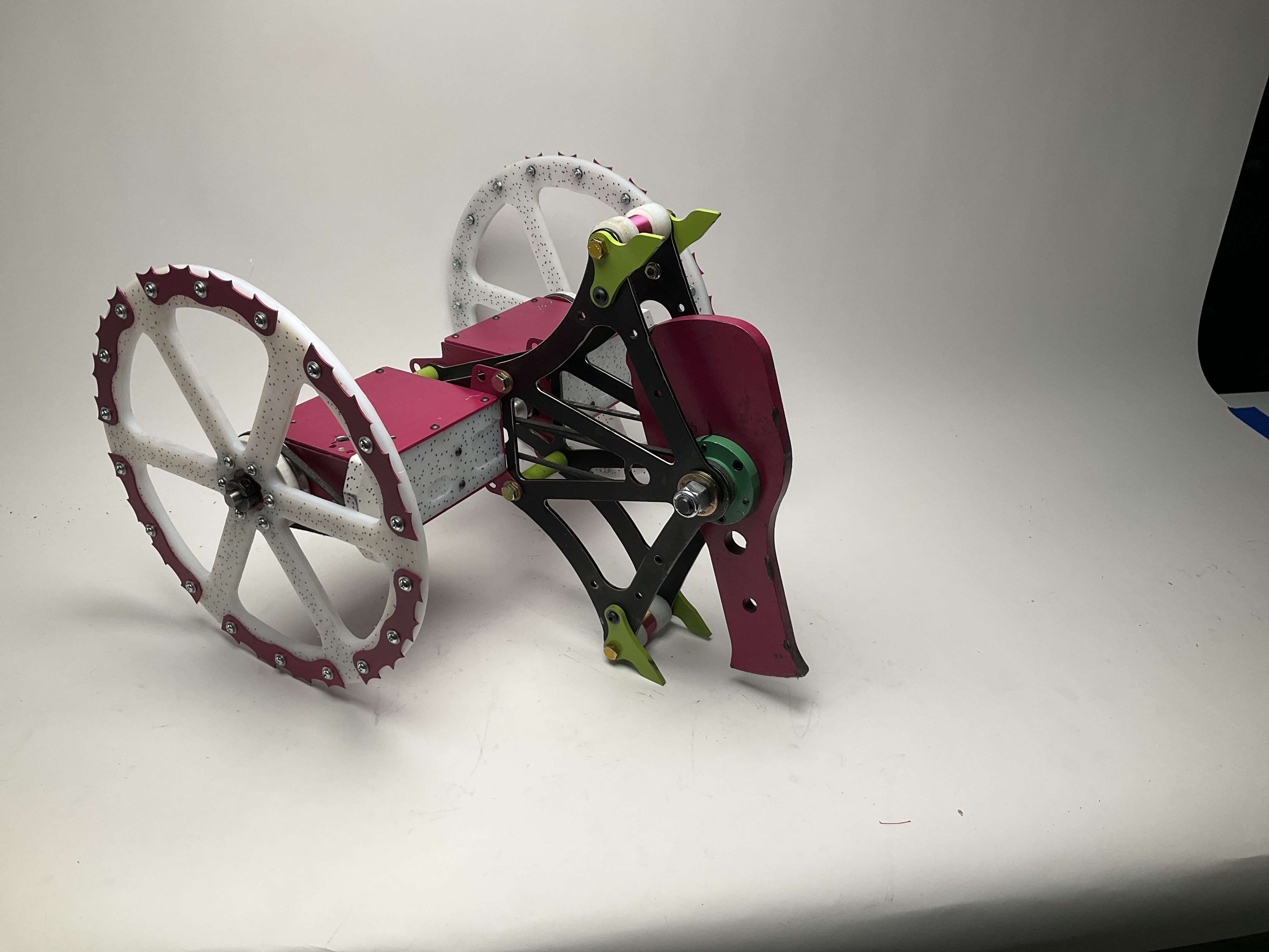 Dragonfruit — entry photo, Oct 31, 2025