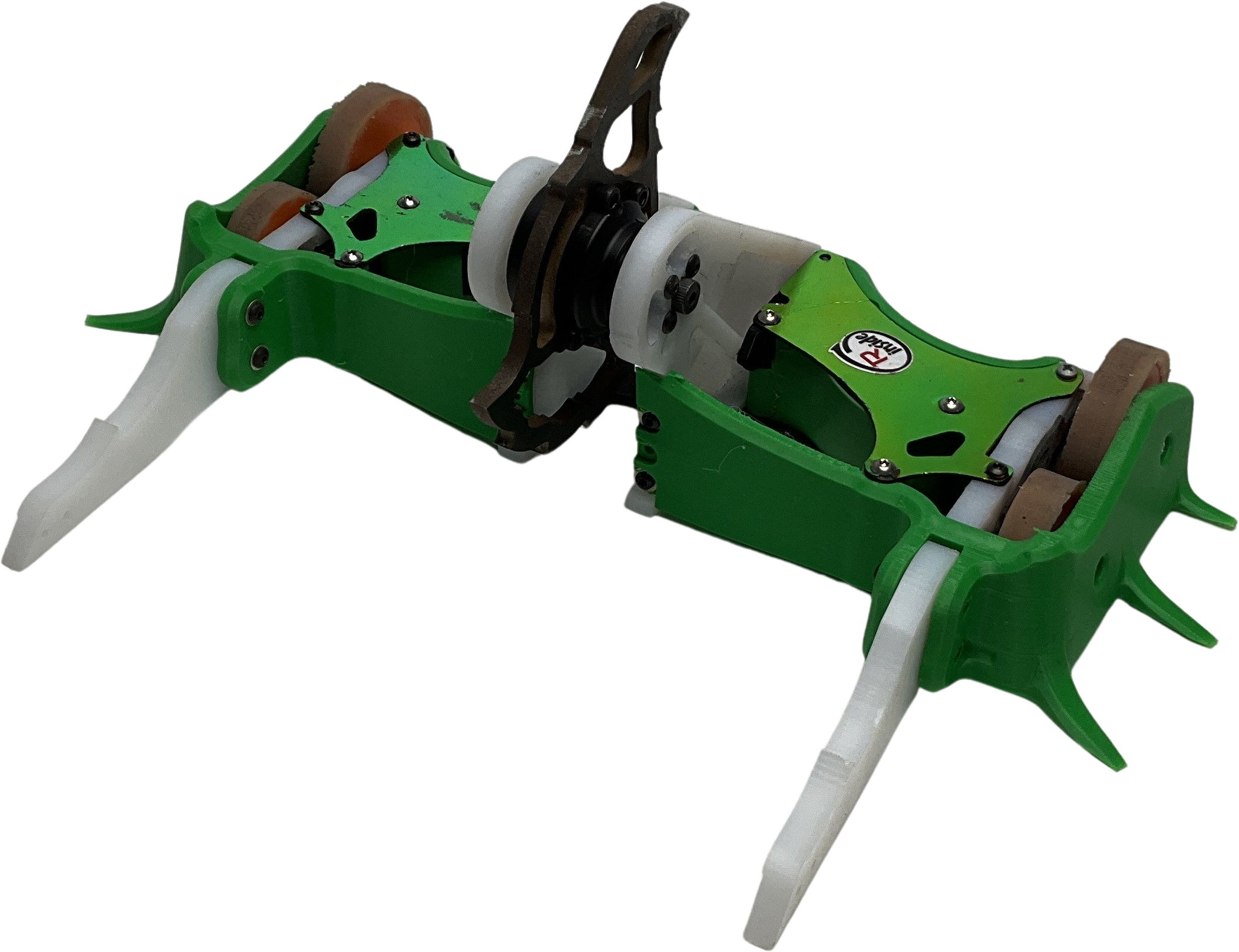 Elytra