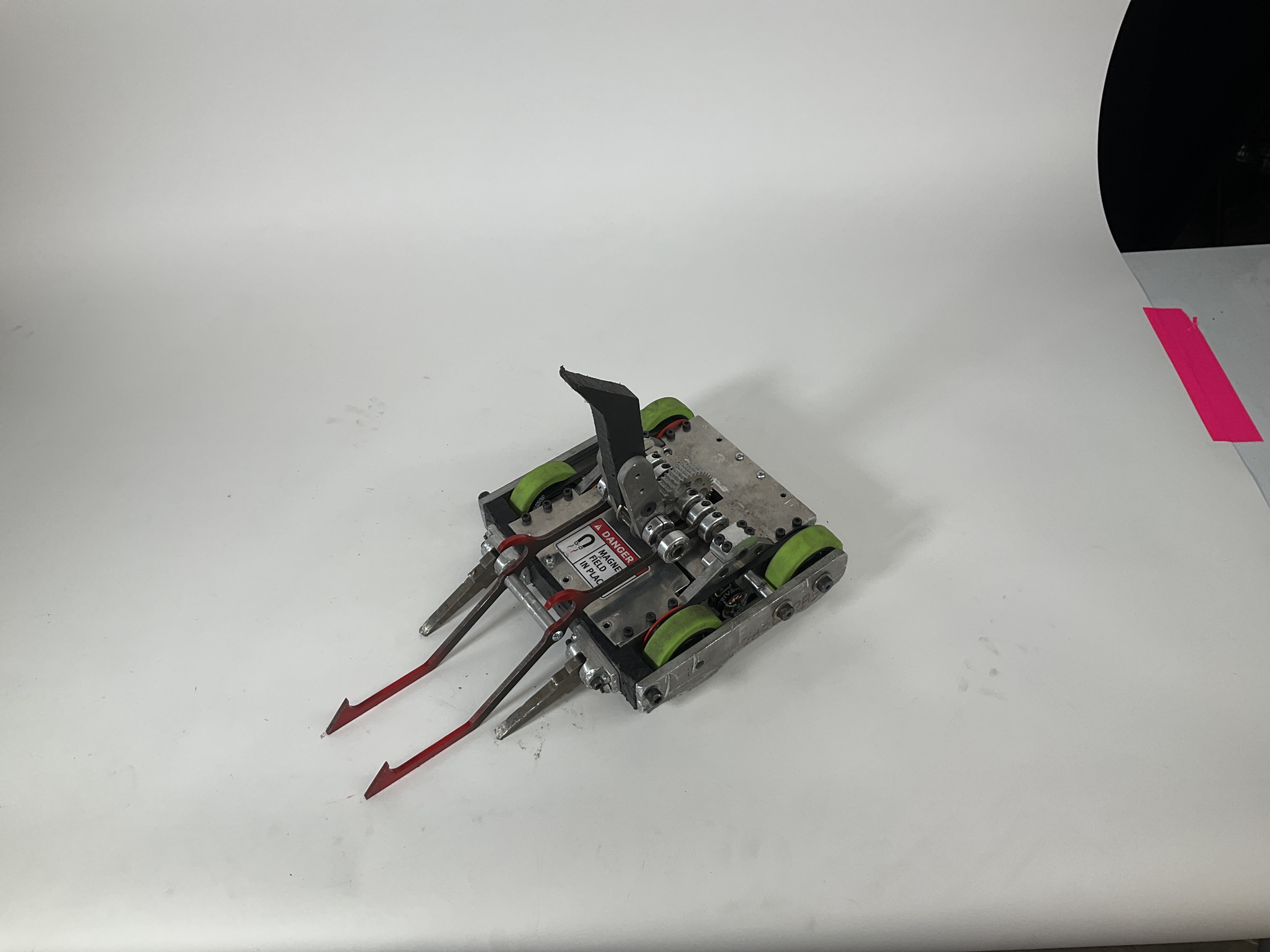 Timber Viper — entry photo, Jun 24, 2023