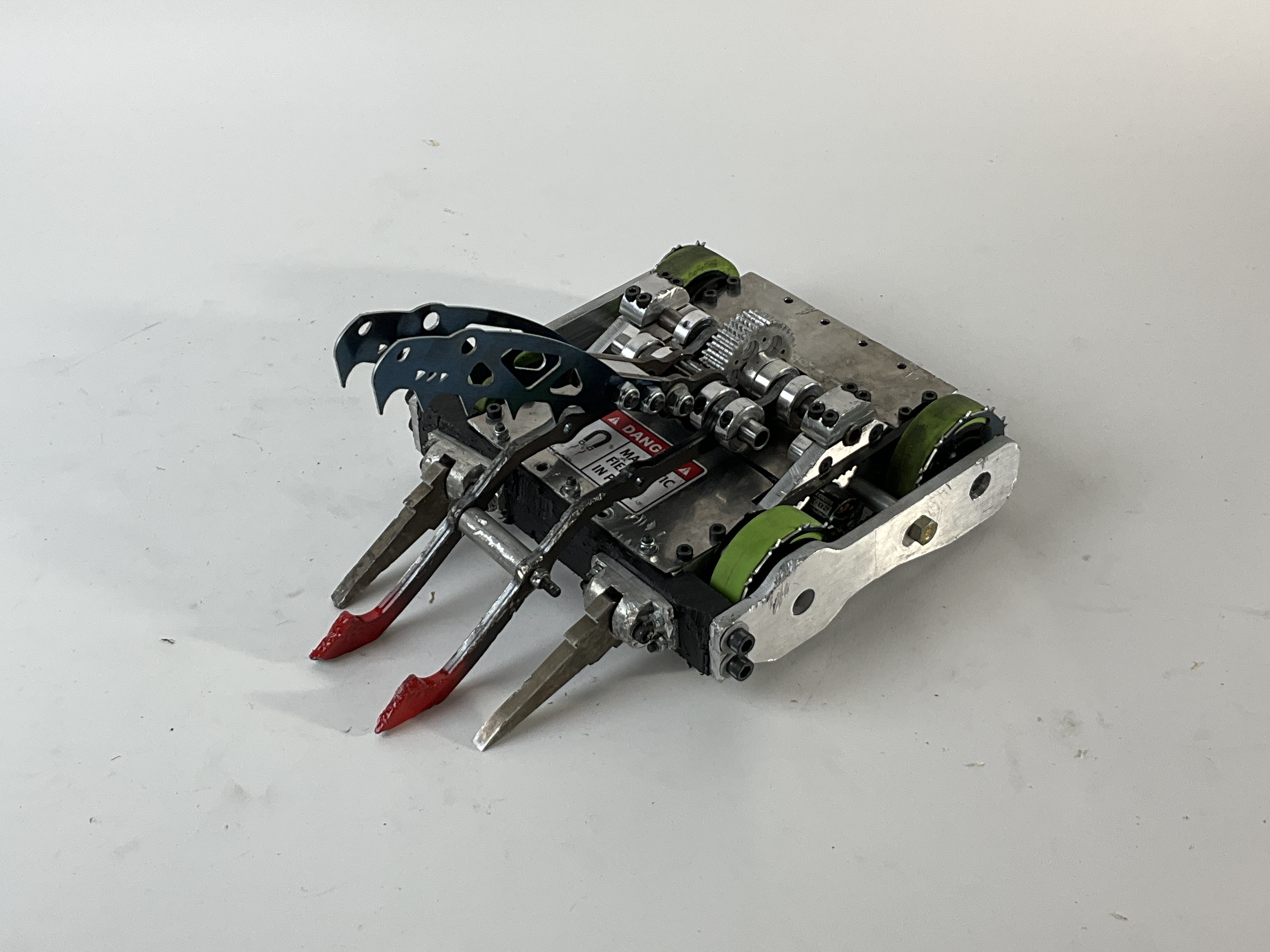 Timber Viper — entry photo, Aug 12, 2023