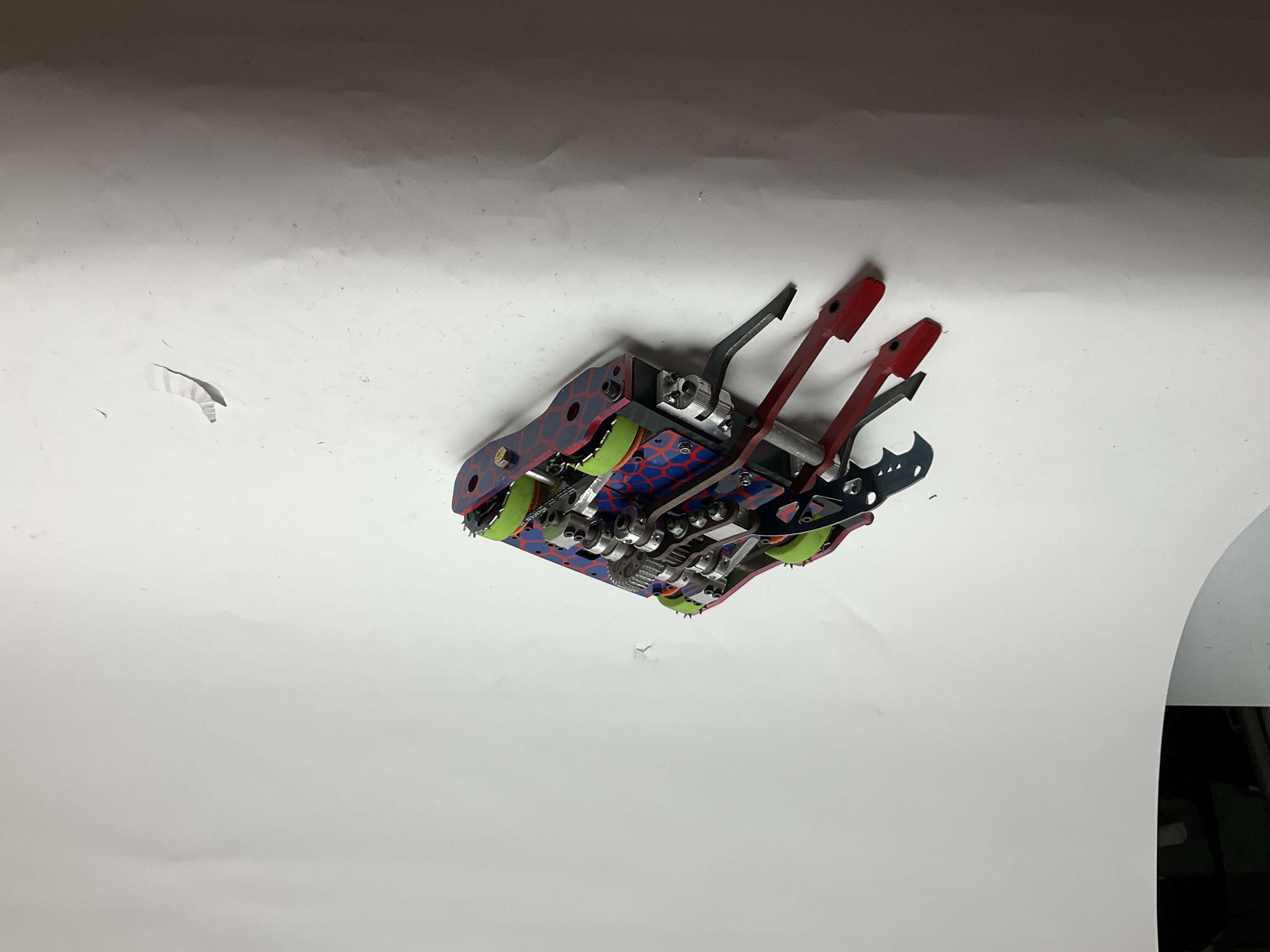 Timber Viper — entry photo, Sep 30, 2023