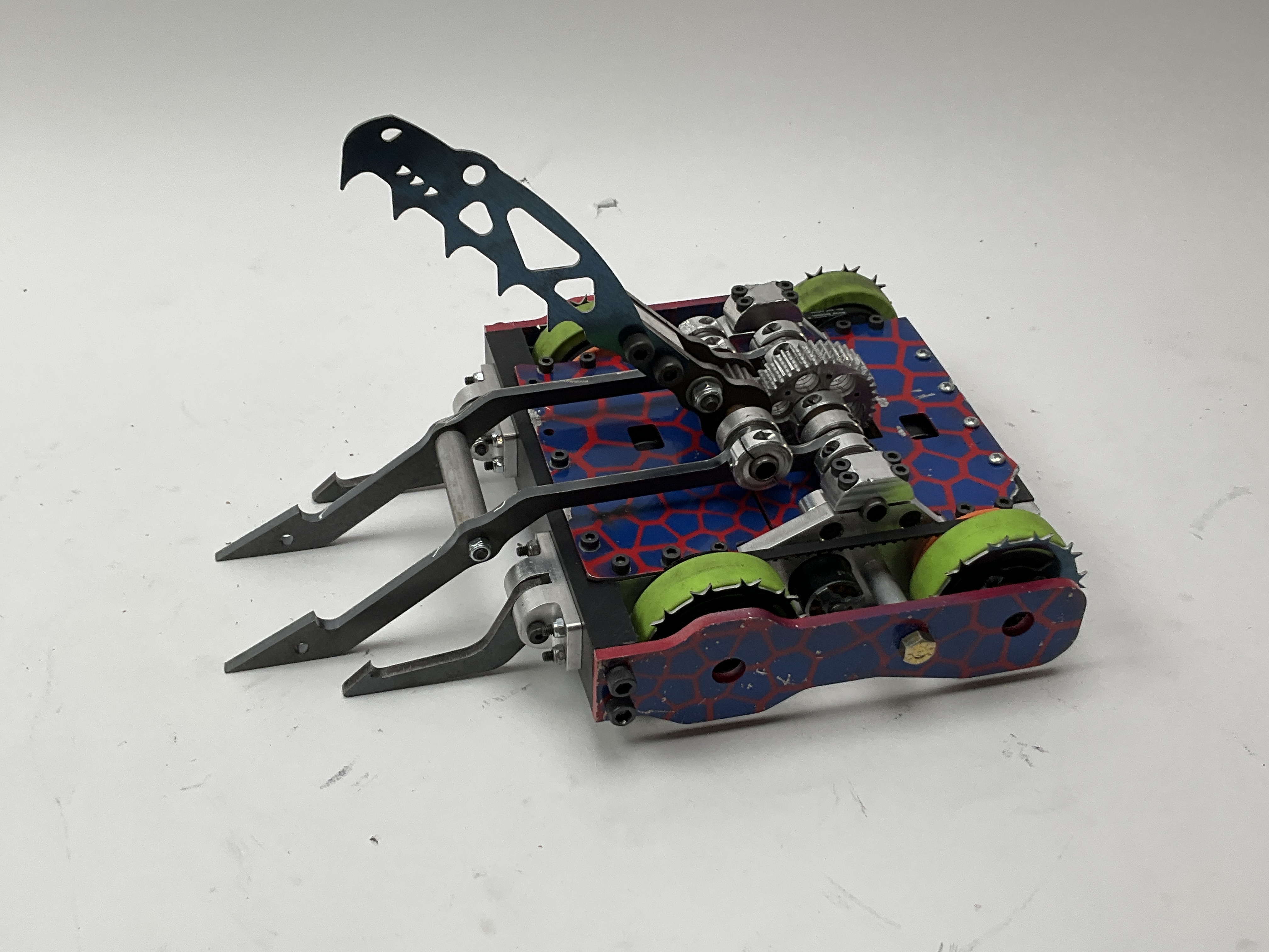Timber Viper — entry photo, Nov 11, 2023