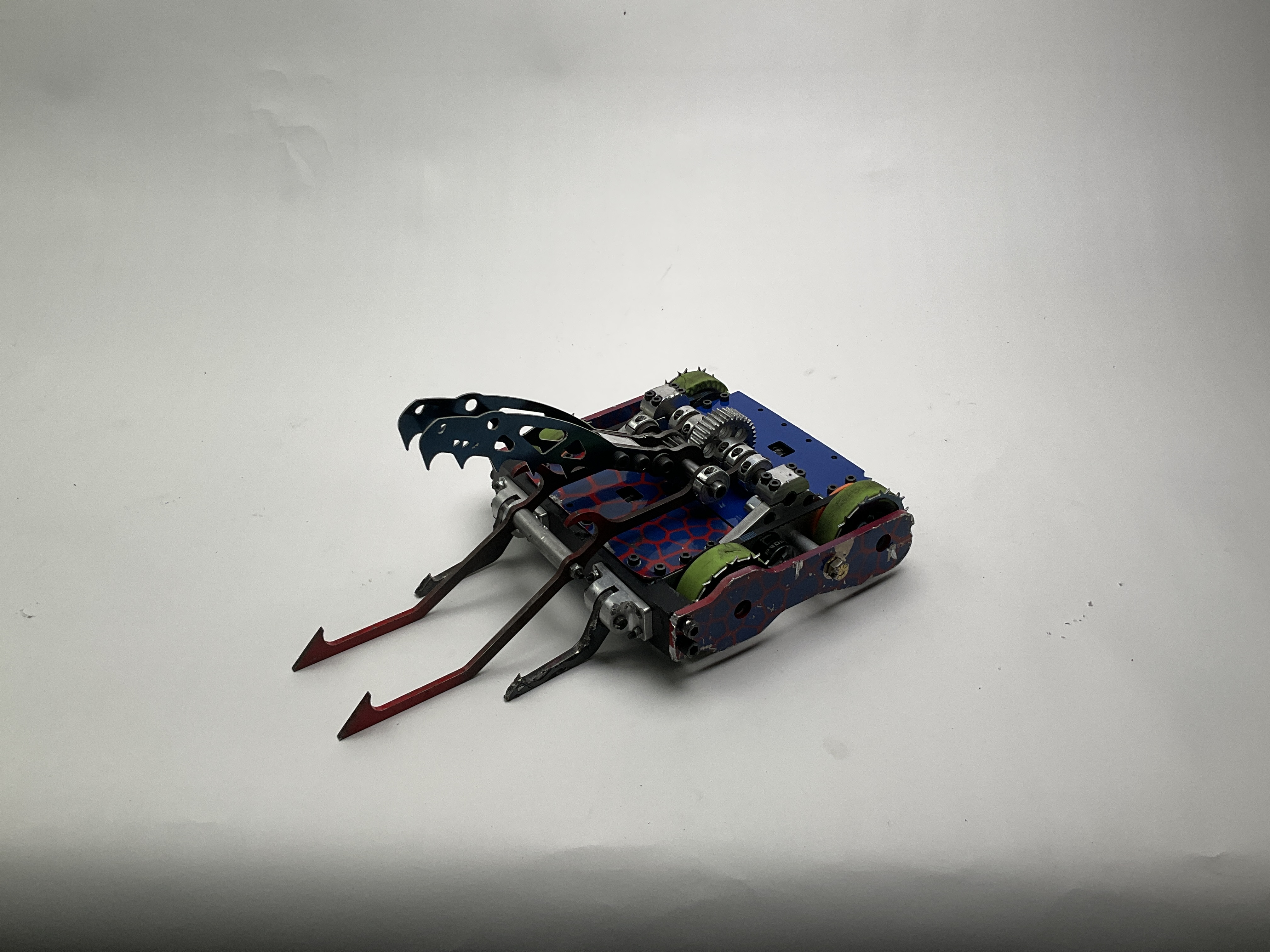 Timber Viper — entry photo, Sep 13, 2024