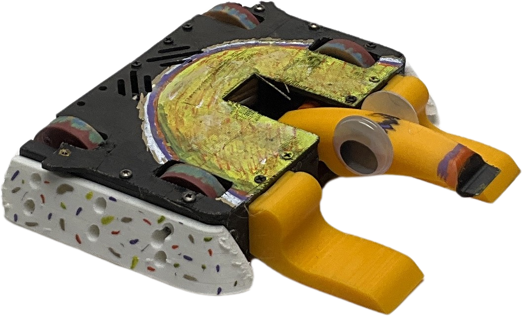 Tiny Toucan